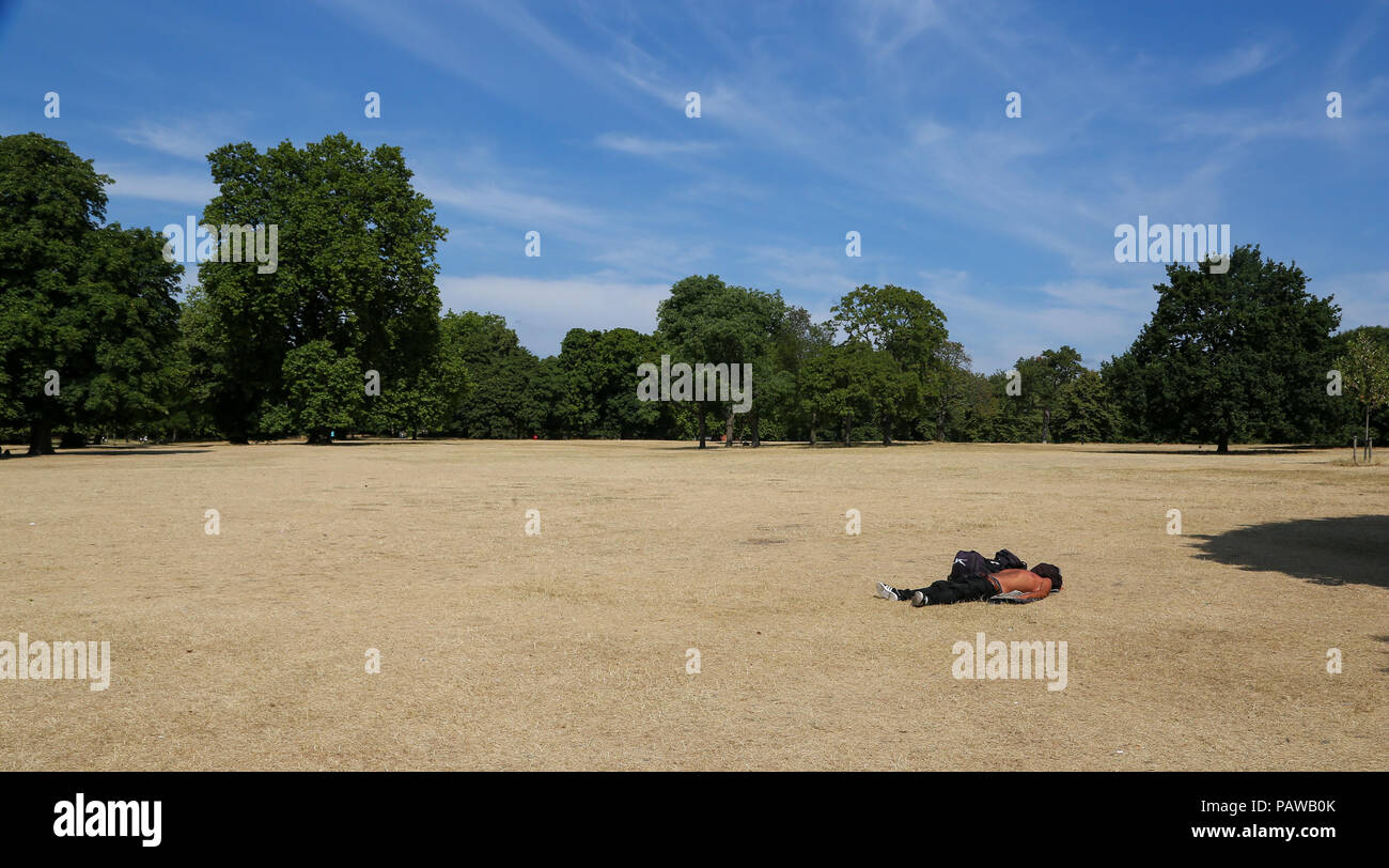 Hyde Park. Londres. UK 25 Juillet 2018 - Un homme de soleil sur l'herbe desséchée Hyde Park sur une journée très chaude et humide dans la capitale. D'après le Met Office la température de Londres et du sud-est est susceptible d'atteindre 35 degrés celsius le jeudi. Credit : Dinendra Haria/Alamy Live News Banque D'Images