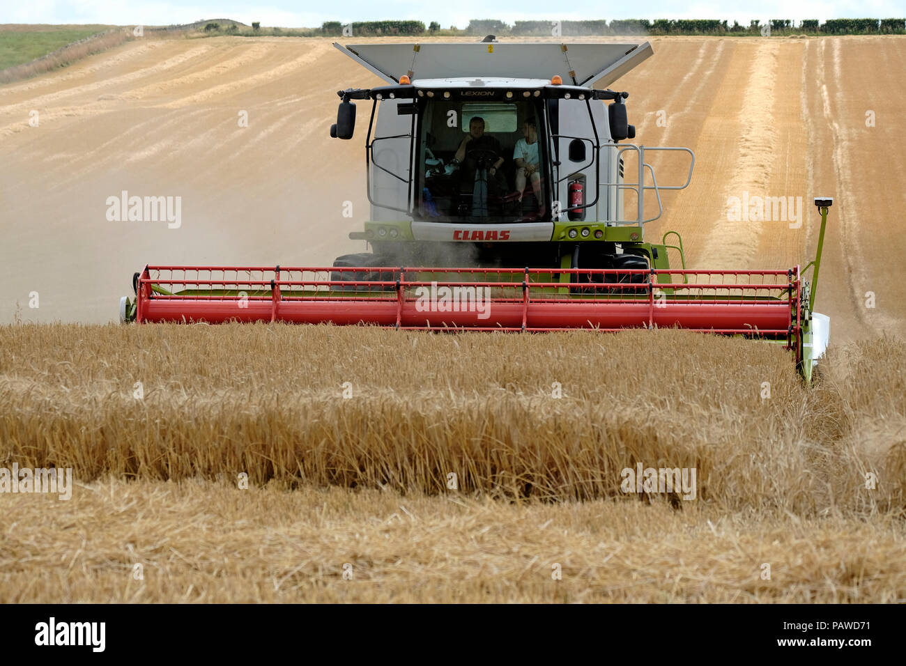 Kelso, Ecosse, 25 juillet 2018. Moissonneuse-batteuse dans Scottish Borders Tom Stewart (L) avec une main ferme de Sandyknowe Farm, près de Kelso dans les Scottish Borders, dans un rendmt Lexion Claas 660 Vario 770 avec barre de coupe à la moissonneuse-batteuse, qui travaillent dans les champs près de sa ferme, le mercredi 25 juillet 2018. (Photo de Rob Gray / offres de crédit) : Rob Gray/Alamy Live News Banque D'Images