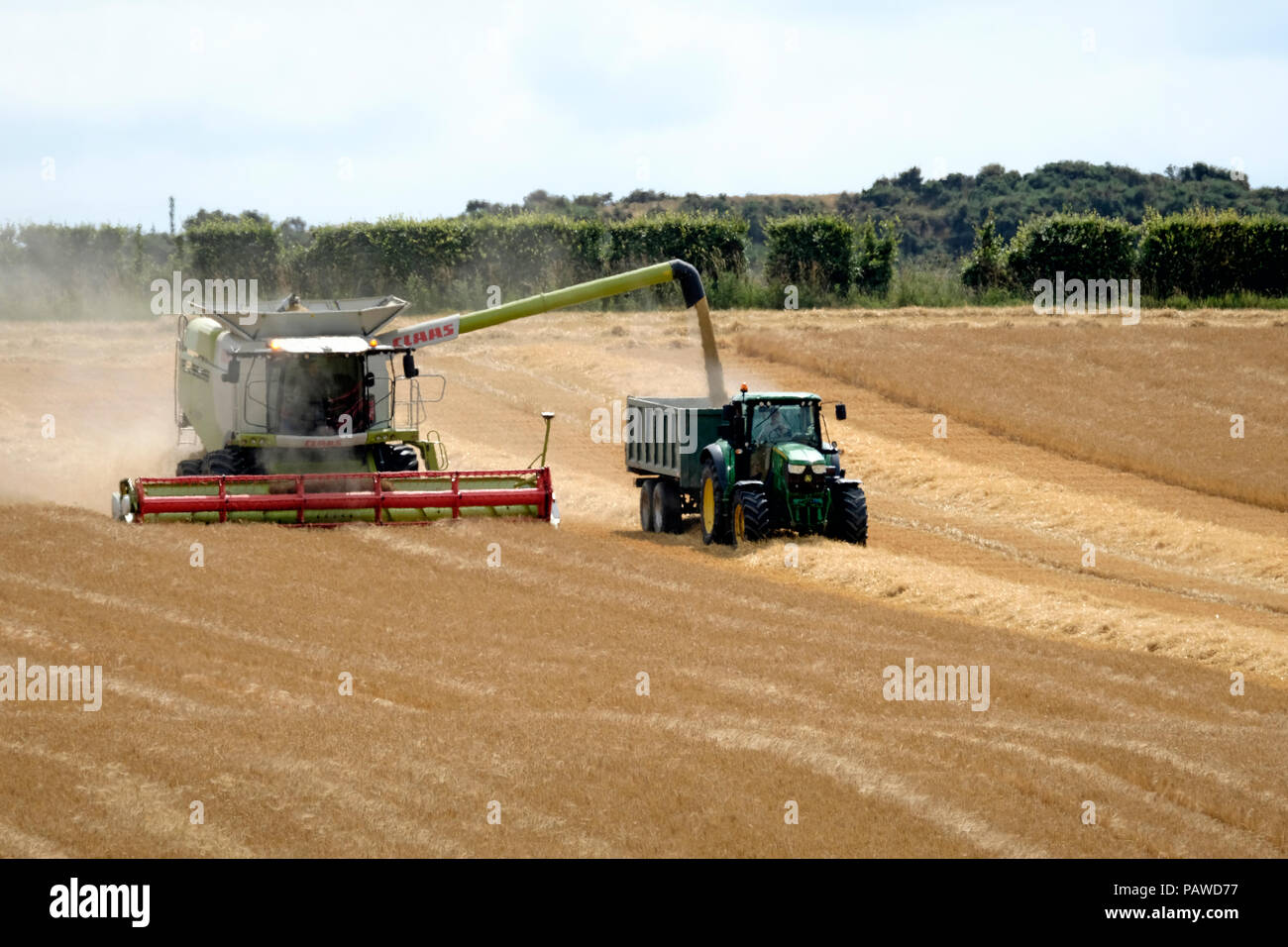 Kelso, Ecosse, 25 juillet 2018. Moissonneuse-batteuse dans Scottish Borders Tom Stewart de Sandyknowe Farm, près de Kelso dans les Scottish Borders, dans un rendmt Lexion Claas 660 Vario 770 avec barre de coupe à la moissonneuse-batteuse, qui travaillent dans les champs près de sa ferme, le mercredi 25 juillet 2018. Le transfert d'une culture à un tracteur d'attente pour passer à la ferme à quelques kilomètres de là. (Photo de Rob Gray / offres de crédit) : Rob Gray/Alamy Live News Banque D'Images