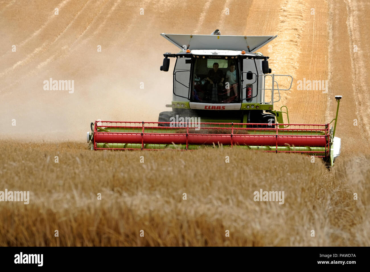 Kelso, Ecosse, 25 juillet 2018. Moissonneuse-batteuse dans Scottish Borders Tom Stewart (L) avec une main ferme de Sandyknowe Farm, près de Kelso dans les Scottish Borders, dans un rendmt Lexion Claas 660 Vario 770 avec barre de coupe à la moissonneuse-batteuse, qui travaillent dans les champs près de sa ferme, le mercredi 25 juillet 2018. (Photo de Rob Gray / offres de crédit) : Rob Gray/Alamy Live News Banque D'Images