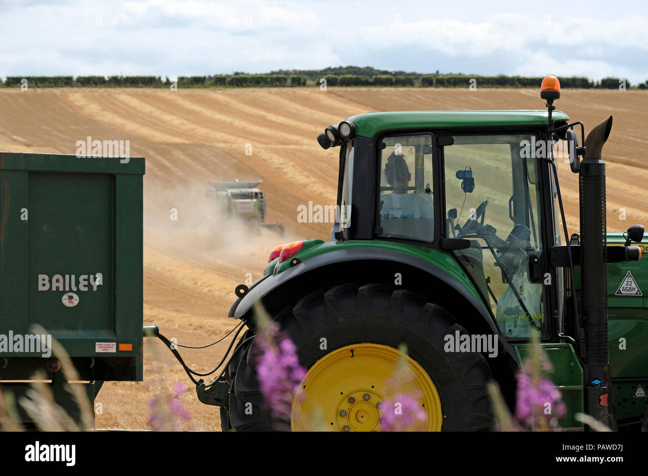 Kelso, Ecosse, 25 juillet 2018. Moissonneuse-batteuse dans Scottish Borders Tom Stewart de Sandyknowe Farm, près de Kelso dans les Scottish Borders, dans un rendmt Lexion Claas 660 Vario 770 avec barre de coupe à la moissonneuse-batteuse, qui travaillent dans les champs près de sa ferme, le mercredi 25 juillet 2018. Alors qu'un tracteur et remorque attendent de recevoir à couper la récolte (Photo de Rob Gray / offres de crédit) : Rob Gray/Alamy Live News Banque D'Images