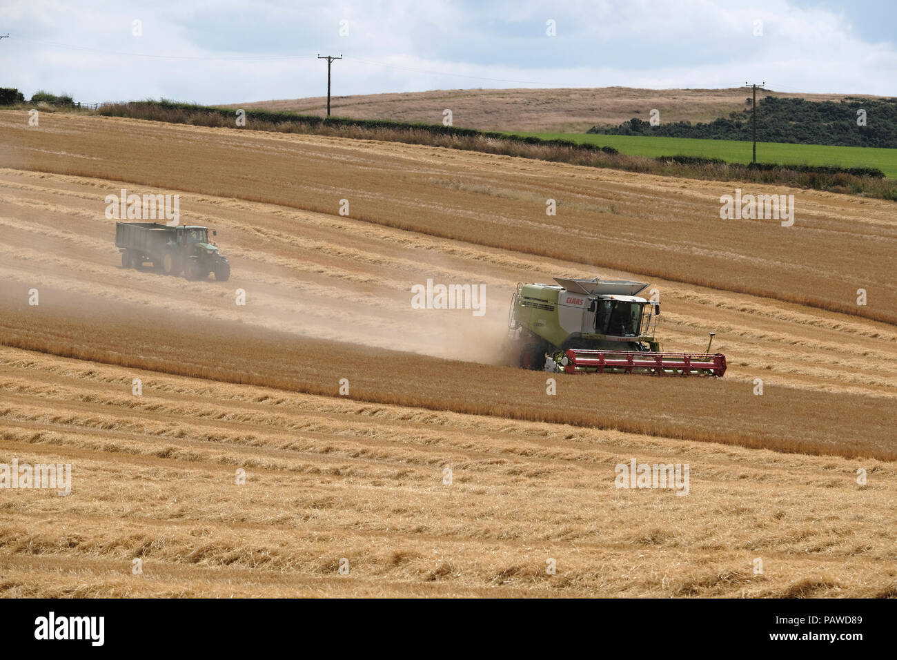 Kelso, Ecosse, 25 juillet 2018. Moissonneuse-batteuse dans Scottish Borders Tom Stewart de Sandyknowe Farm, près de Kelso dans les Scottish Borders, dans un rendmt Lexion Claas 660 Vario 770 avec barre de coupe à la moissonneuse-batteuse, qui travaillent dans les champs près de sa ferme, le mercredi 25 juillet 2018. (Photo de Rob Gray / offres de crédit) : Rob Gray/Alamy Live News Banque D'Images