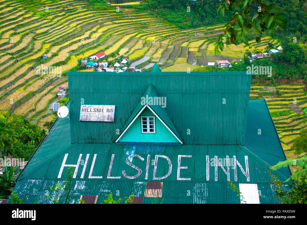 Rustique toit vert de l'inn sur la luxuriante, rizières en terrasse dans le village de Batad - Luzon, Philippines Banque D'Images