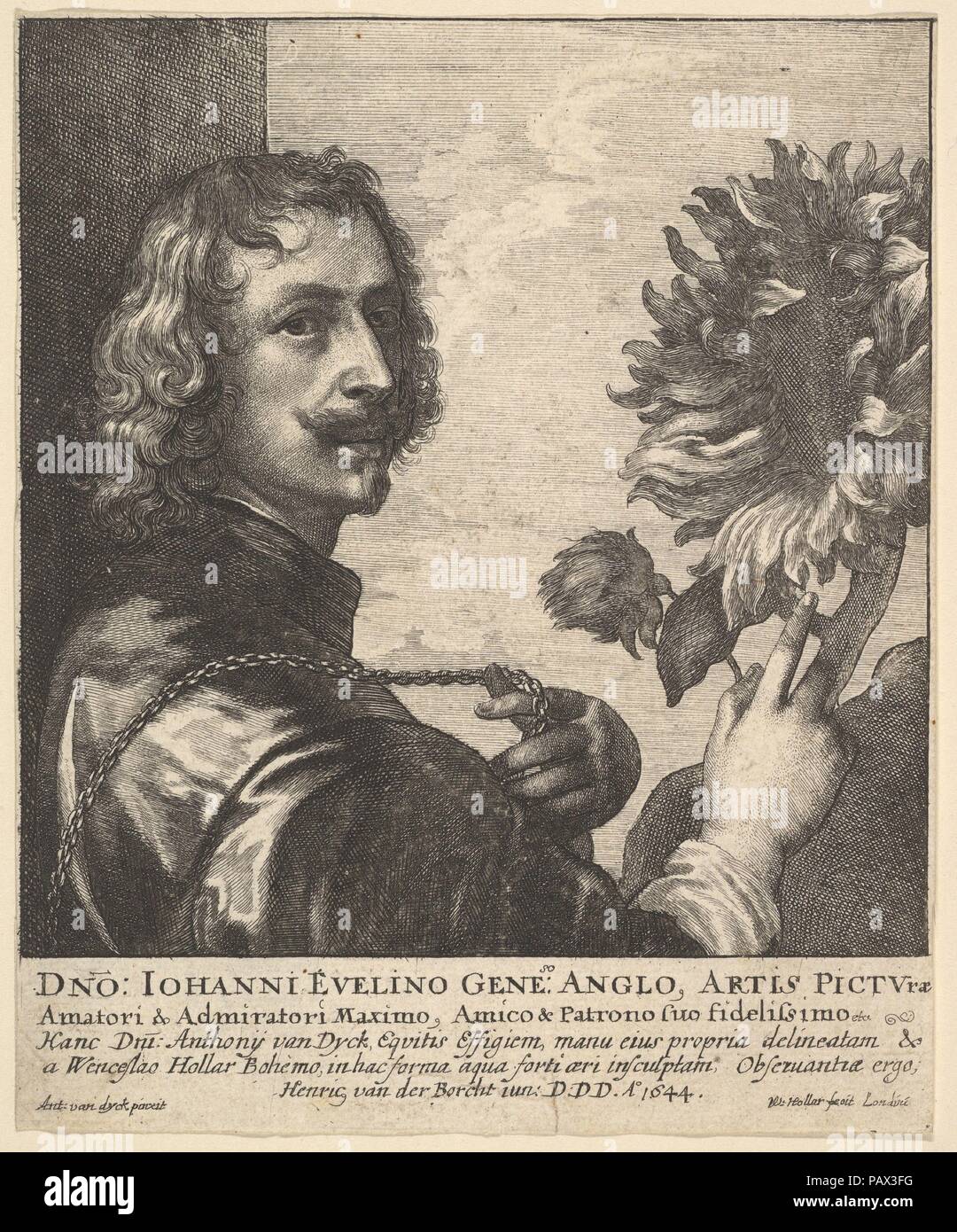 Sir Anthony Van Dyck avec un tournesol. Artiste : Après Anthony Van Dyck (flamande, Anvers 1599-1641 Londres). Fiche Technique : Dimensions : 5 3/8 x 4 5/16 in. (13,5 × 11,1 cm) Couper l'intérieur platemark. Graveur : Wenceslaus Hollar (Bohème, Prague 1607-1677 Londres). Date : 1644. Portrait de Sir Anthony Van Dyck, tête et épaules de profil à droite, avec la tête tournée vers l'avant ; la main gauche Chaîne de détention passant sur l'épaule droite, la main droite pointant vers grand tournesol sur la droite ; après Van Dyck's self-portrait c. 1633, la meilleure version de ce qui est dans l'collectiuon du duc de Westminster. Musée : Metropol Banque D'Images