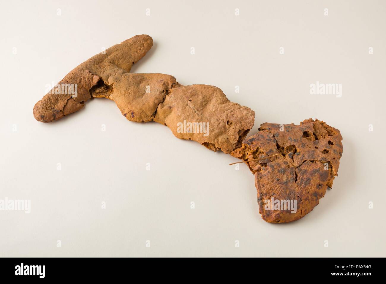 Miche de pain. Dimensions : 35 cm L. (13 3/4 in.) ; plus grande w. 21 cm (8 1/4 in.) ; Th. 1,5 cm (9/16 po). Dynastie DYNASTIE : 18, tôt. Règne : règne de Thoutmosis II, Début de règne conjoint. Date : ca. 1492-1473 av. J.-C.. Cette forme inhabituelle miche de pain a été trouvé dans un panier de nourriture (36,3.57) qui avait été placé dans le tombeau de Hatnefer (36.3.1). Deux autres pains fragmentaires de forme similaire ont également été trouvés dans le panier. Il y avait aussi d'autres plus classiques, pains (36.3.73, 35.3.74, 35.3.78), raisins (36.3.65) et les dates (36.3.66). Musée : Metropolitan Museum of Art, New York, USA. Banque D'Images