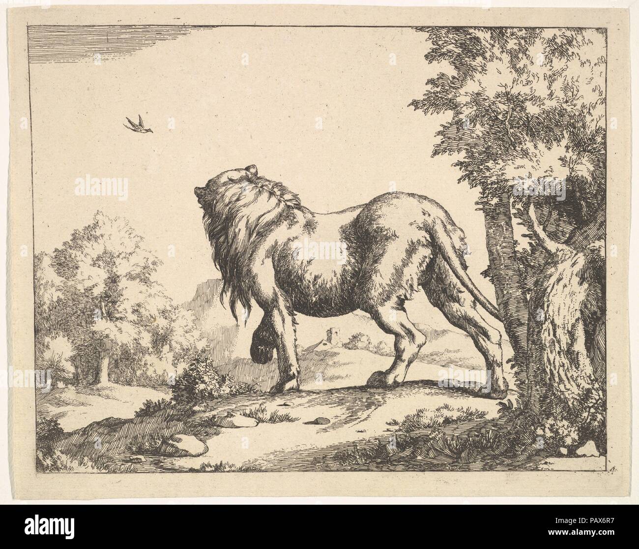 Les Lions (l'une des huit plaques). Artiste : Après Paulus Potter (Néerlandais, Enkhuizen 1625-1654 Amsterdam). Fiche technique : Dimensions : 7 1/8 x 8 15/16 in. (18,1 x 22,7 cm) Plaque : 6 7/8 x 8 13/16 in. (17,5 x 22,4 cm). Graveur : Marcus de Bye (néerlandais, La Haye, 1639-après 1688). Editeur : Nicolas Visscher I (Néerlandais, Amsterdam Amsterdam 1618-1679). Date : ca. 1664. Musée : Metropolitan Museum of Art, New York, USA. Banque D'Images