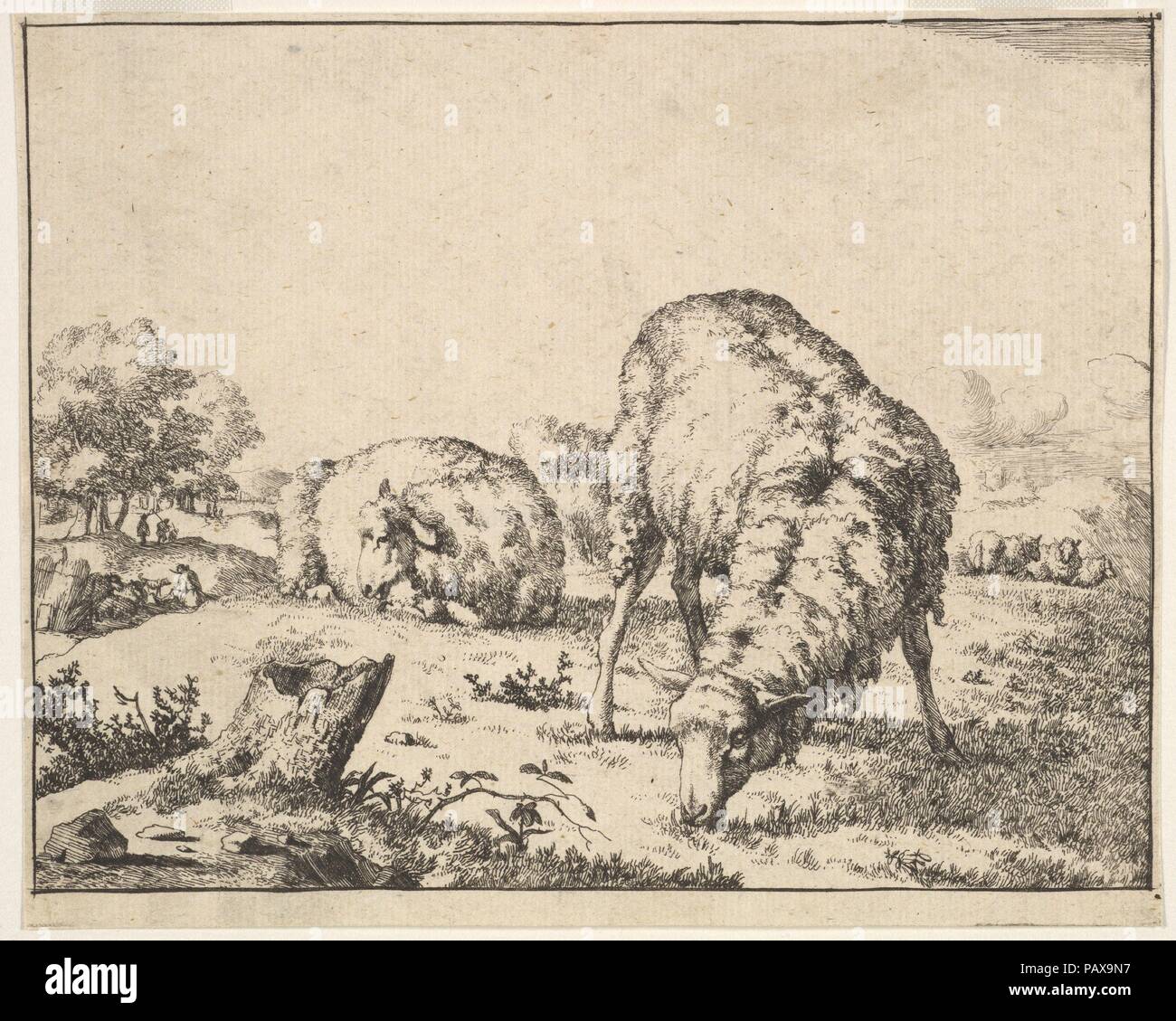 Les moutons, à partir d'un ensemble de 16 planches. Artiste : Marcus de Bye (néerlandais, La Haye, 1639-après 1688). Fiche technique : Dimensions : 4 1/2 x 5 7/16 in. (11,3 x 14 cm). Date : 1664. Musée : Metropolitan Museum of Art, New York, USA. Banque D'Images