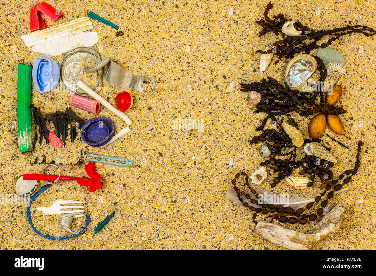 Véritable pollution plastique trouvés sur beach séparés et triés par les algues et les coquillages de la plage où il a été trouvé, l'espace pour le texte Banque D'Images