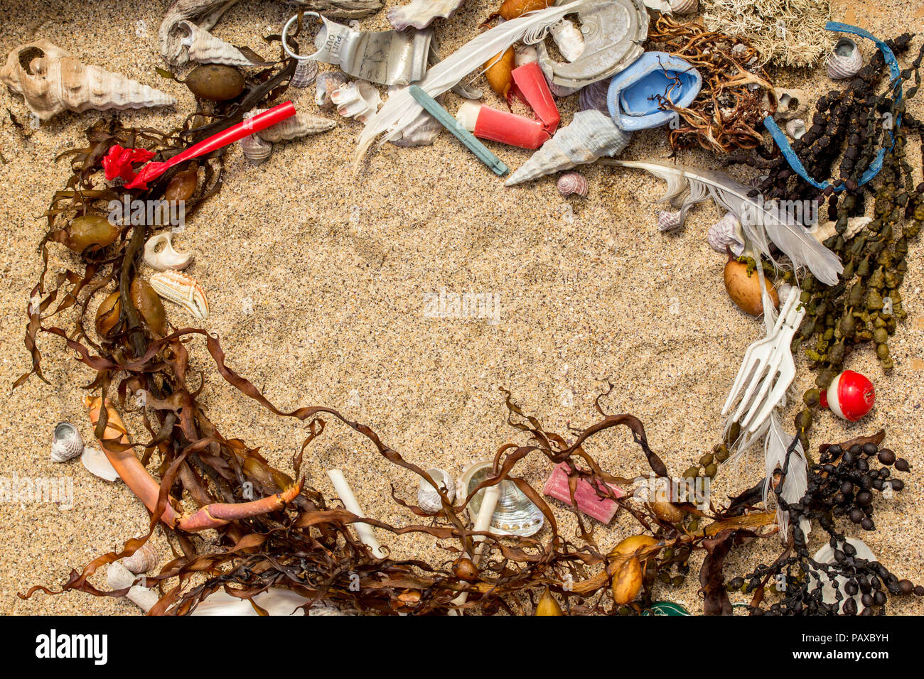 Véritable pollution plastique trouvé sur la plage en mixte avec des algues et des coquillages où il a été trouvé, l'espace pour le texte Banque D'Images