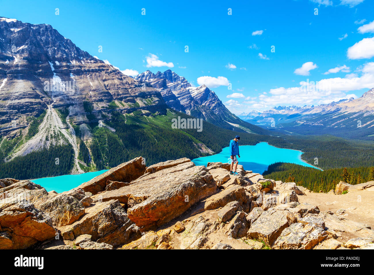 Un jeune randonneur au sommet Bow surplombant le Lac Peyto, un glacier lac dans le parc national de Banff sur la promenade des Glaciers. Banque D'Images