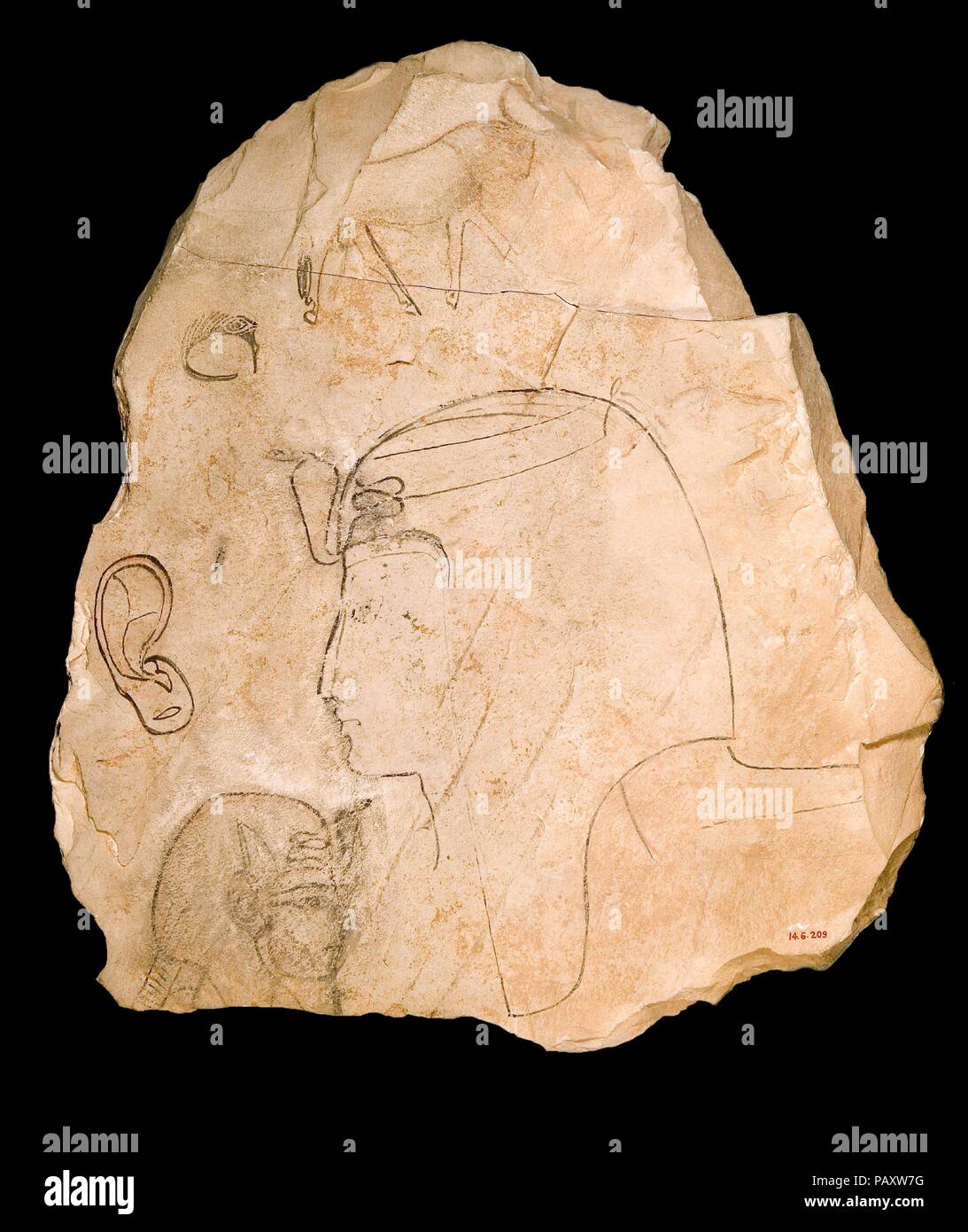 Ostracon avec une tête royale. Dimensions : H. 26 cm (10 1/4 po) ; w. 22 cm (8 11/16 po). Dynastie DYNASTIE : 19-20. Date : ca. 1295-1070 av. J.-C.. Musée : Metropolitan Museum of Art, New York, USA. Banque D'Images