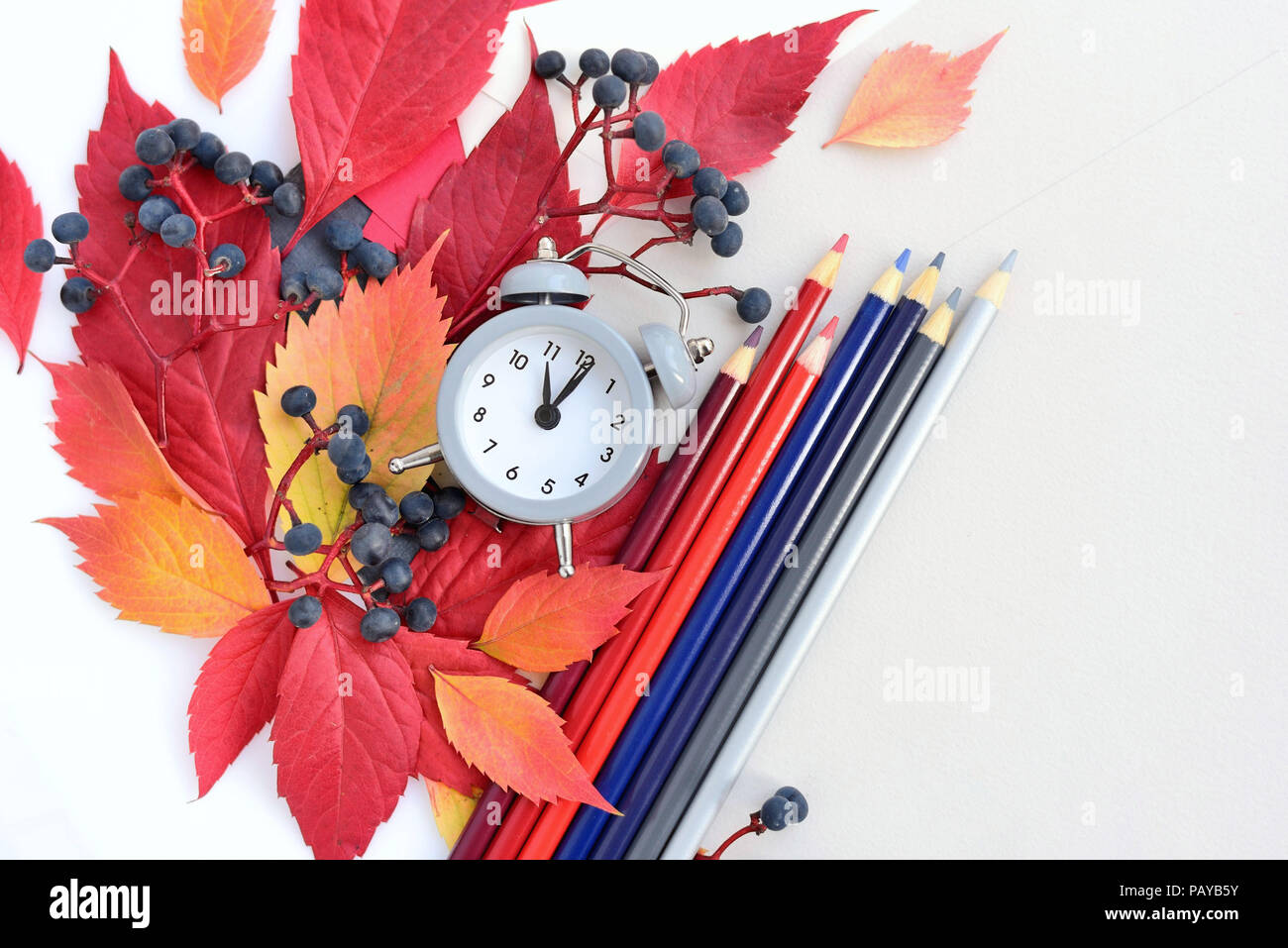 Automne fond avec un réveil, crayons, feuilles de papier et les feuilles d'automne. Vue d'en haut. L'espace pour votre texte. Banque D'Images