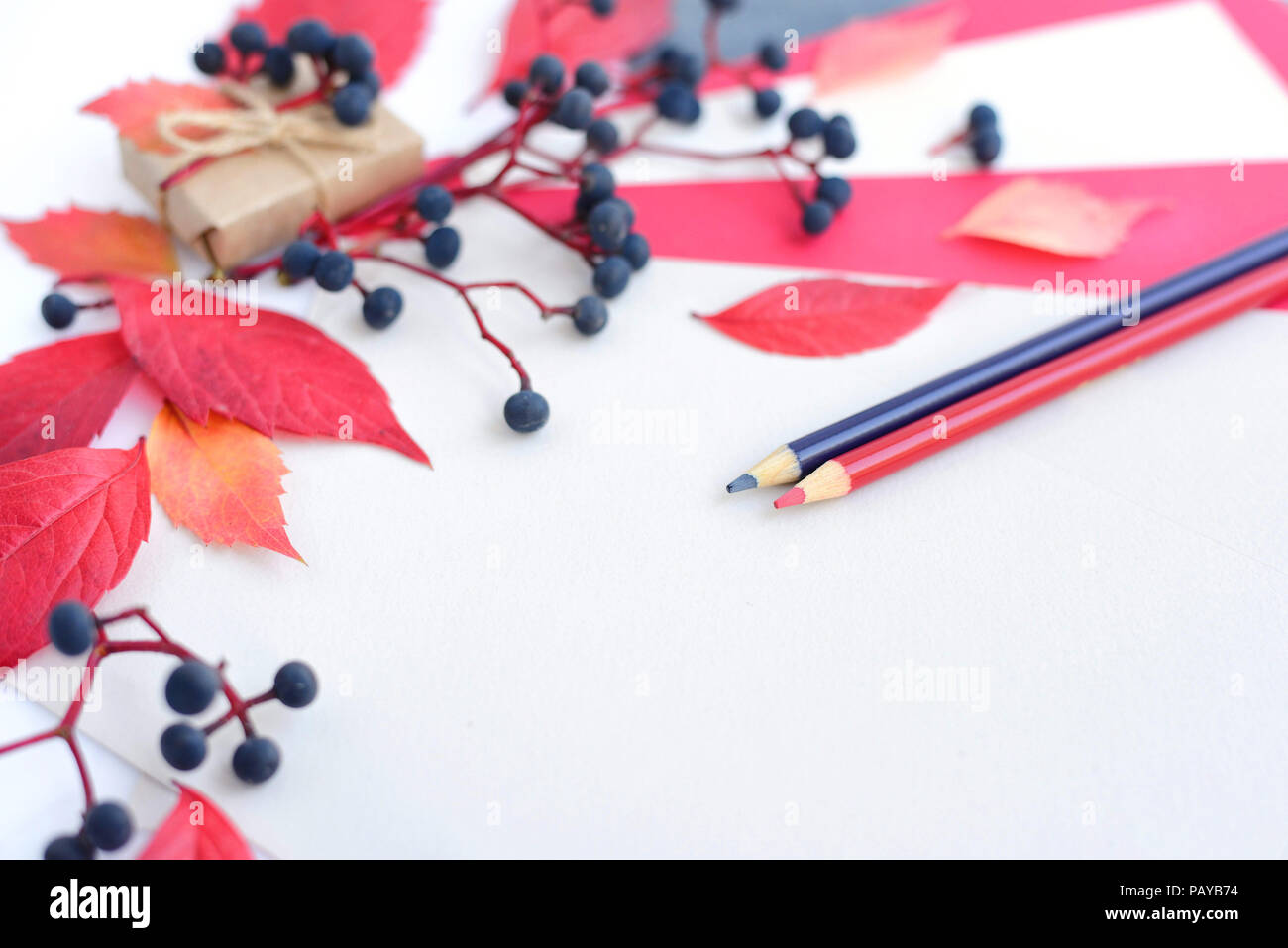 Automne fond avec des crayons, des feuilles de papier et les feuilles d'automne. L'espace pour votre texte. Banque D'Images