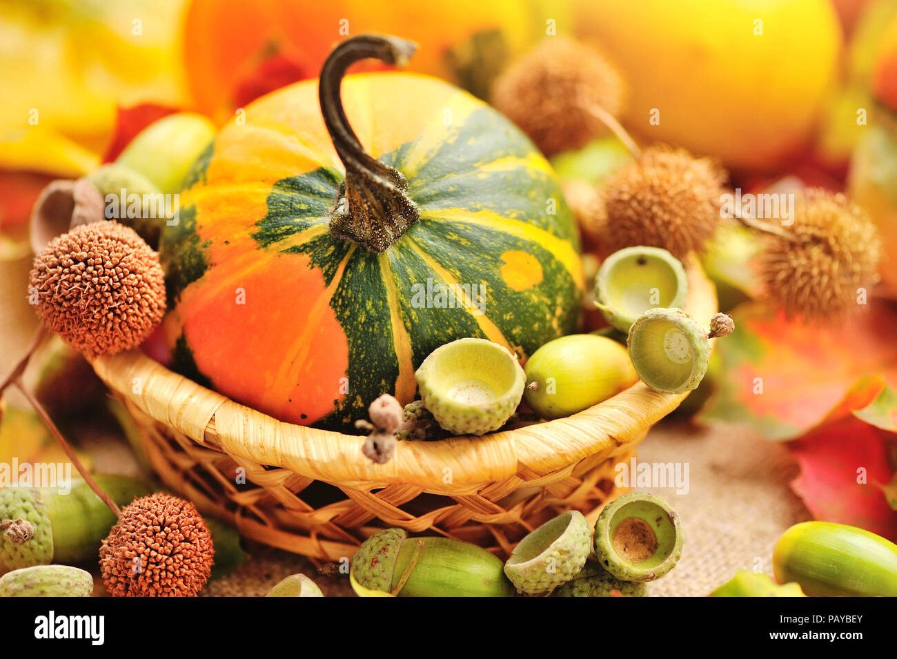 Mini citrouille décorative avec glands sur les feuilles d'automne Banque D'Images