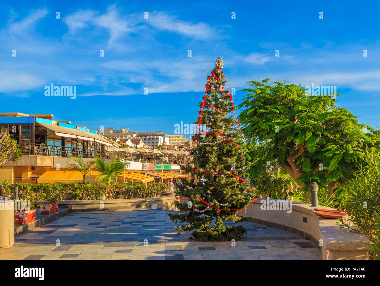 La décoration de l'arbre de Noël sur la plage de Fanabe en saison d'hiver, l'île de Tenerife Espagne Banque D'Images