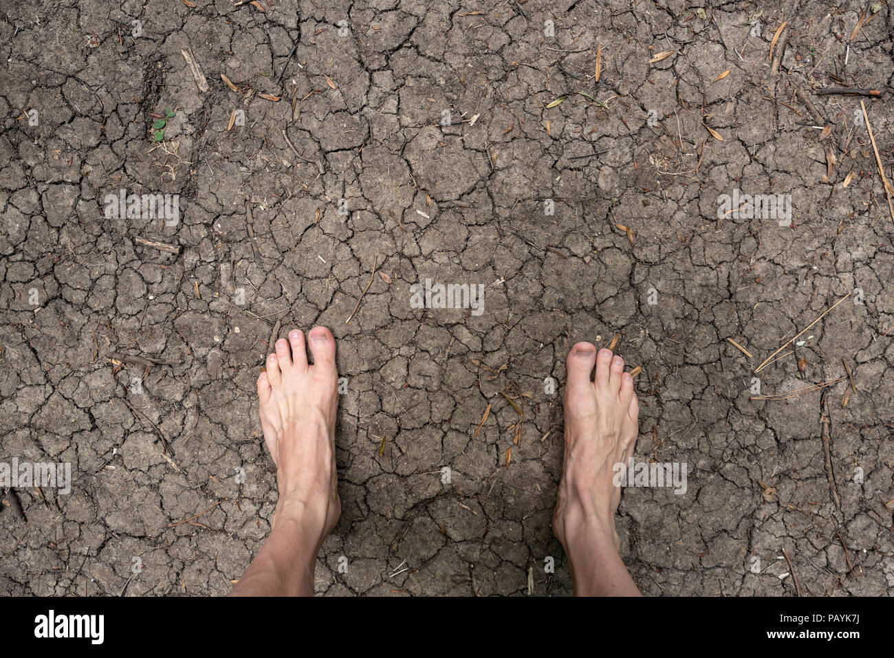 Pieds sur terre craquelée dans un bois à cause de la sécheresse au milieu d'une longue période de temps sec chaud, Banque D'Images