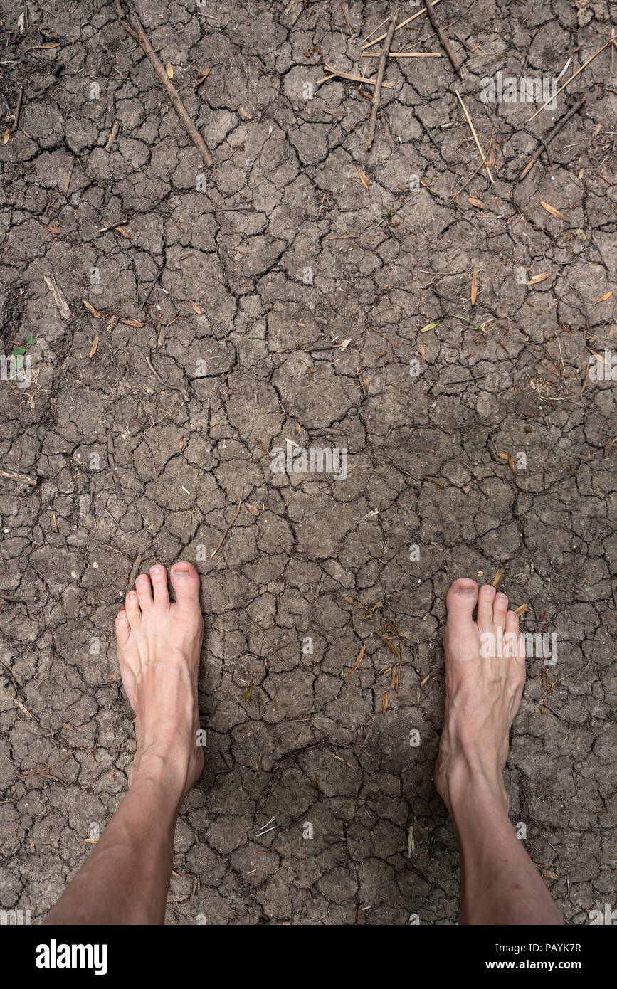 Pieds sur terre craquelée dans un bois à cause de la sécheresse au milieu d'une longue période de temps sec chaud, Banque D'Images