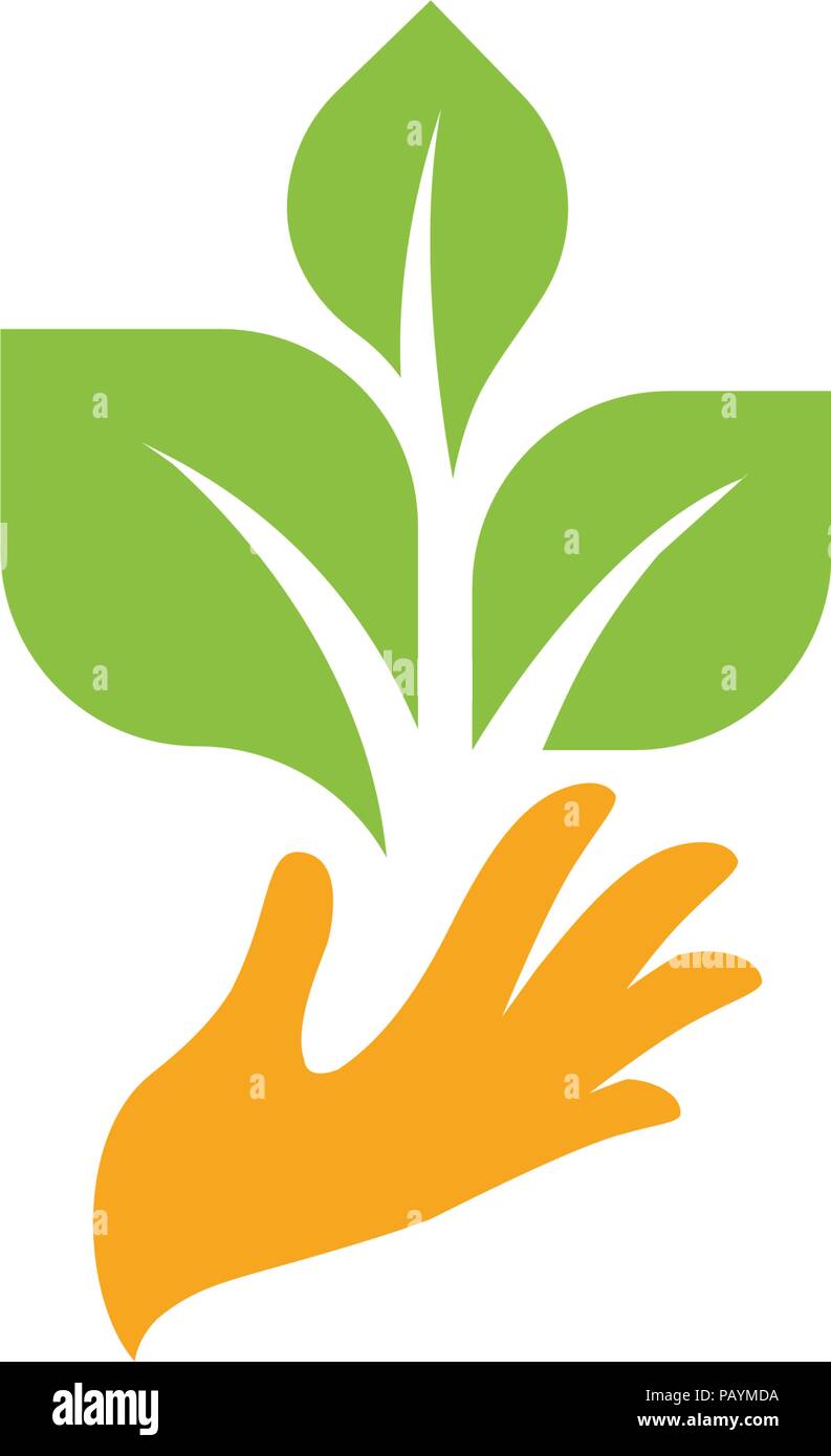 La main d'orange avec des feuilles vertes. Sprout, nouvelle vie. Logotype de l'élément de la nature. Produit biologique agricole signe. Illustration vecteur de récolte Illustration de Vecteur
