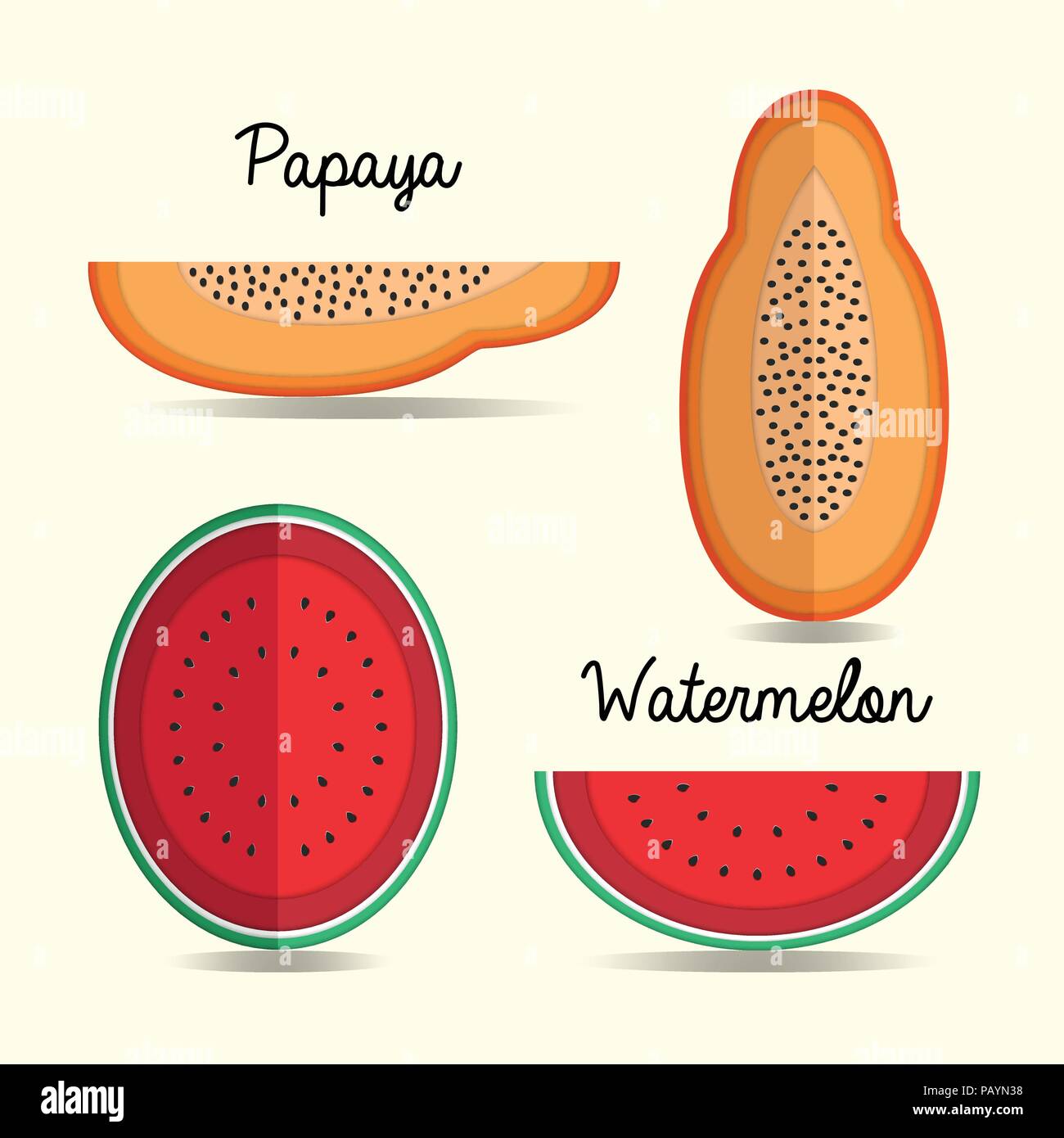 La papaye et la pastèque style art du papier pour le fond vector illustration,fruits d'été Illustration de Vecteur