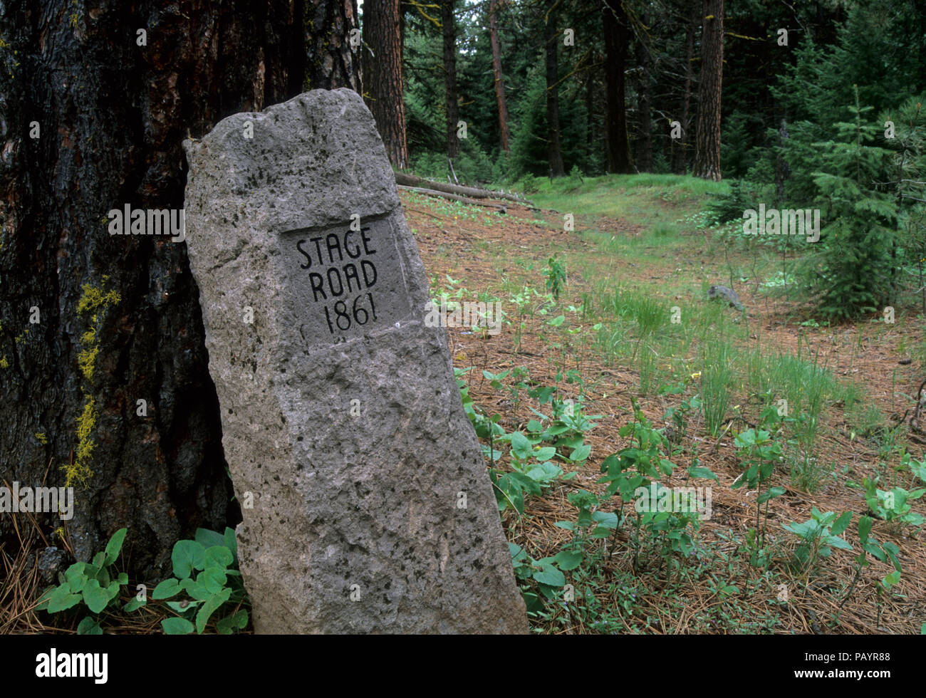 Stage line marker, Oregon Trail Interpretive Park à Blue Mountain Crossing, Wallowa-Whitman National Forest, Virginia Banque D'Images