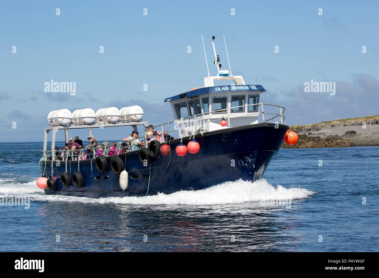 L'île de Farne passnger voile Glad Tidings VIII crossing à Northumberland Royaume-uni îles Farne Banque D'Images