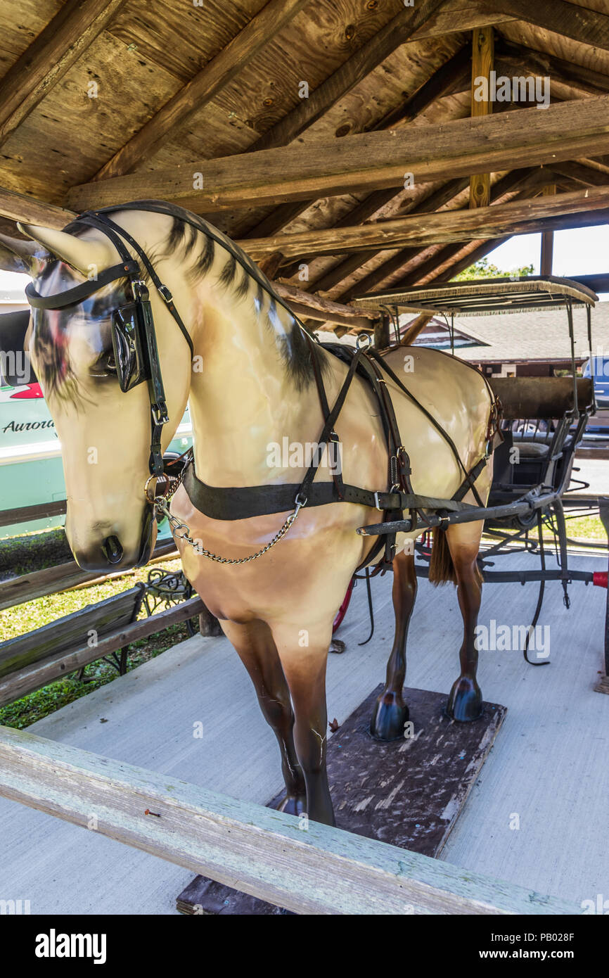 AURORA, Kentucky, USA-30 le 18 juin : Un fiull-modèle de taille moyenne d'un cheval, tirant un chariot ouvert--un "avec une bordure sur urry top', devant une boutique d'artisanat. Banque D'Images