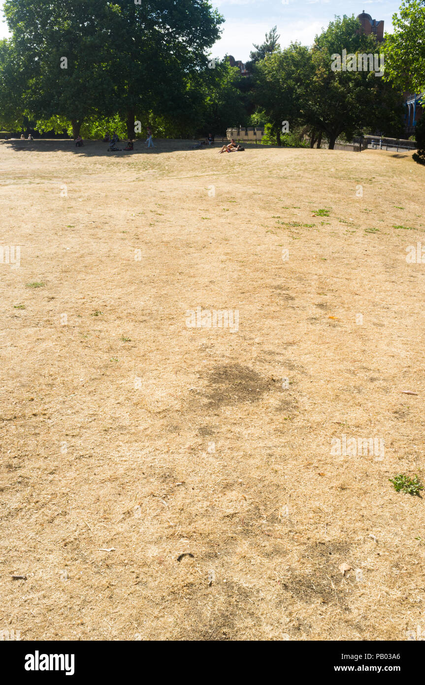 De l'herbe sèche dans un parc dans la ville de Bristol, au Royaume-Uni, au cours de la canicule de l'été 2018 Banque D'Images