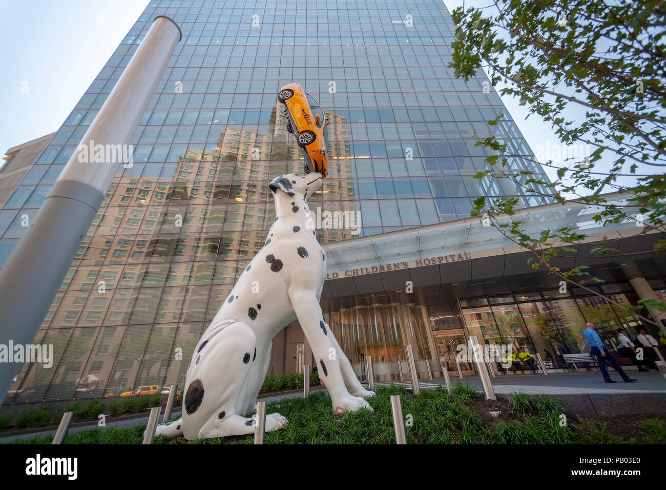 Une sculpture d'un équilibrage de Dalmatie un taxi jusqu'à l'accueille les visiteurs Hassenfeld Children's Hospital, partie de NYU Langone, vu le Mercredi, Juillet 18, 2018. 'Spot' comme la sculpture est nommé, par l'artiste Donald Lipski est 38-pieds de haut et est constitué de fibre de verre. La cabine est un véritable moteur sans Prius. La statue d'humour a pour but de faire un voyage à l'hôpital plus accueillant et moins stressant. (Â©Â Richard B. Levine) Banque D'Images