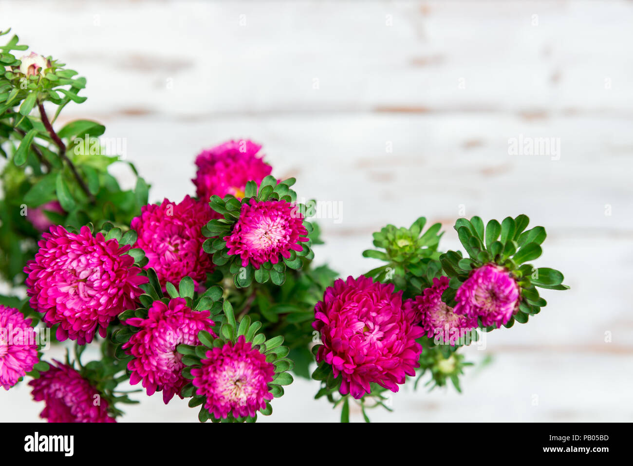 Bouquet De Fleurs Dautomne Les Asters Sur Fond De Bois