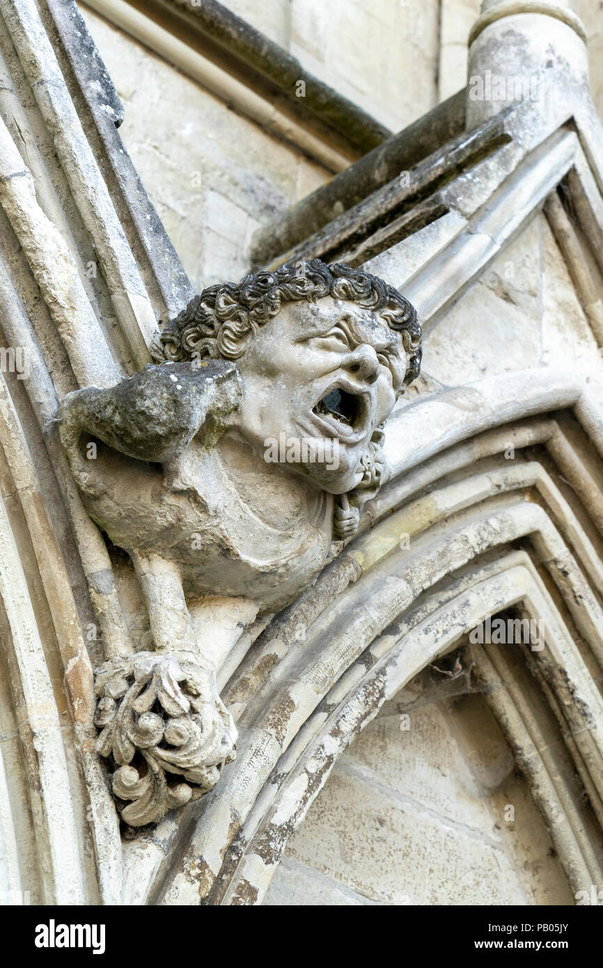 Gargouille en pierre sculptée sur la cathédrale de Salisbury Banque D'Images