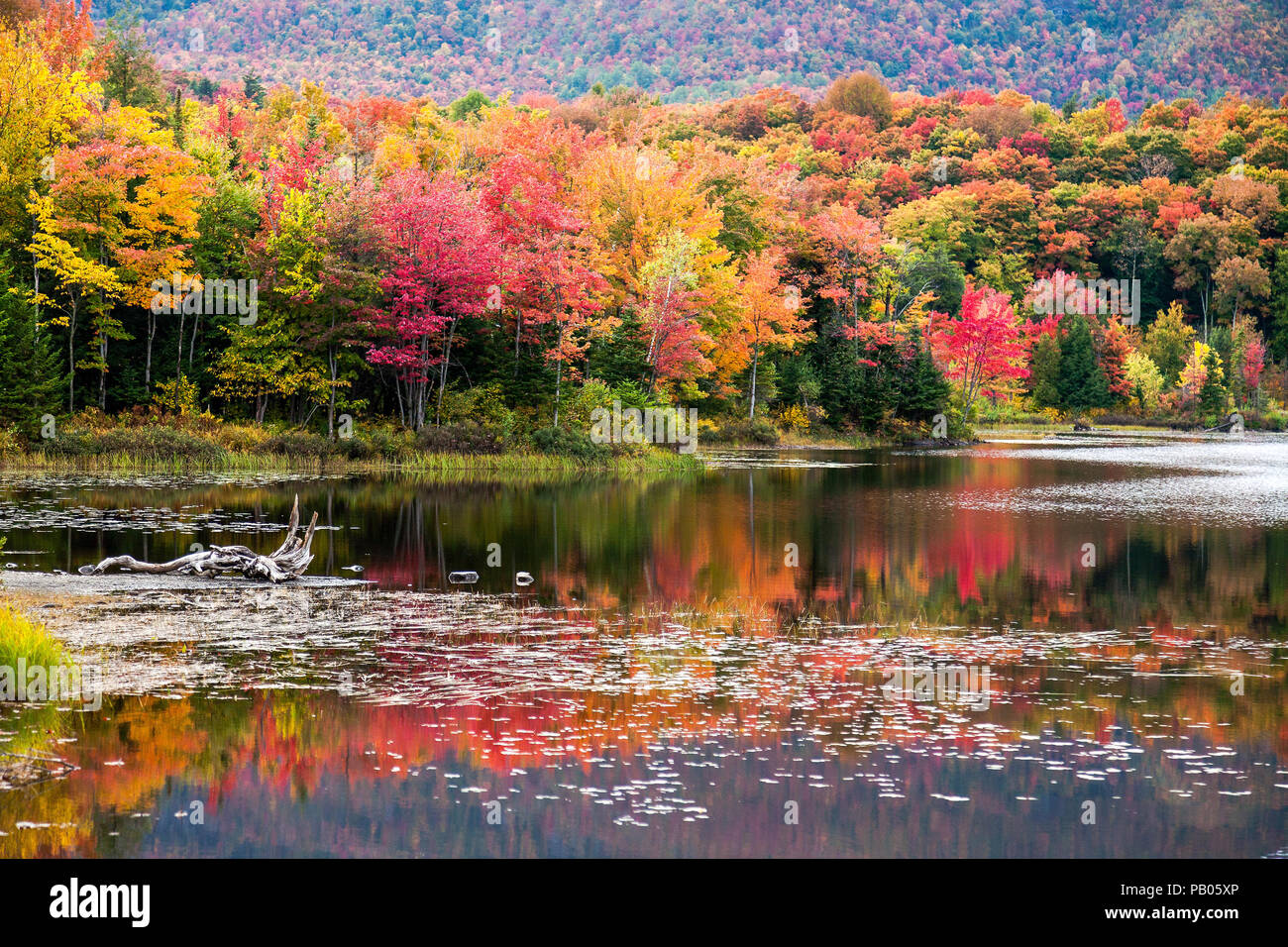L Automne Dans Le Parc National Du Mont Orford Cantons De L Est Quebec Canada Lac Etang Aux Cerises Photo Stock Alamy L Automne Dans Le Parc National Du Mont Orford Cantons De L Est Quebec Canada Lac Etang Aux Cerises Photo Stock Alamy
