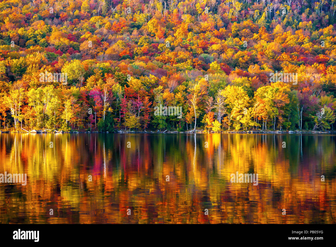 Couleurs d'automne au parc national du Mont-Orford, Estrie, Québec, Canada. En miroir des couleurs dans le lac Etang aux cerises Banque D'Images