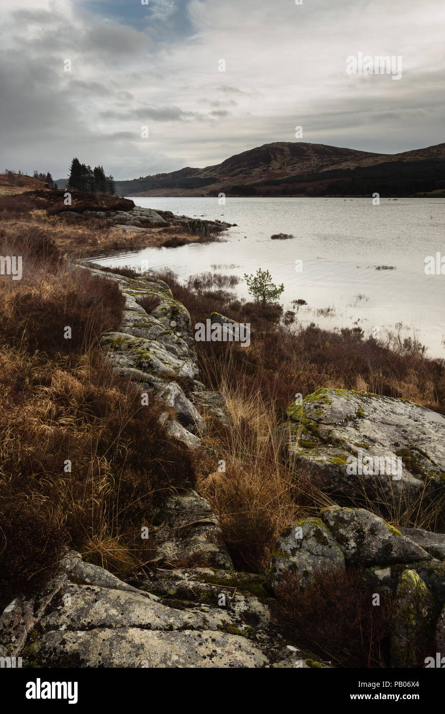 Galloway Forest Park paysage par Loch Doon Banque D'Images