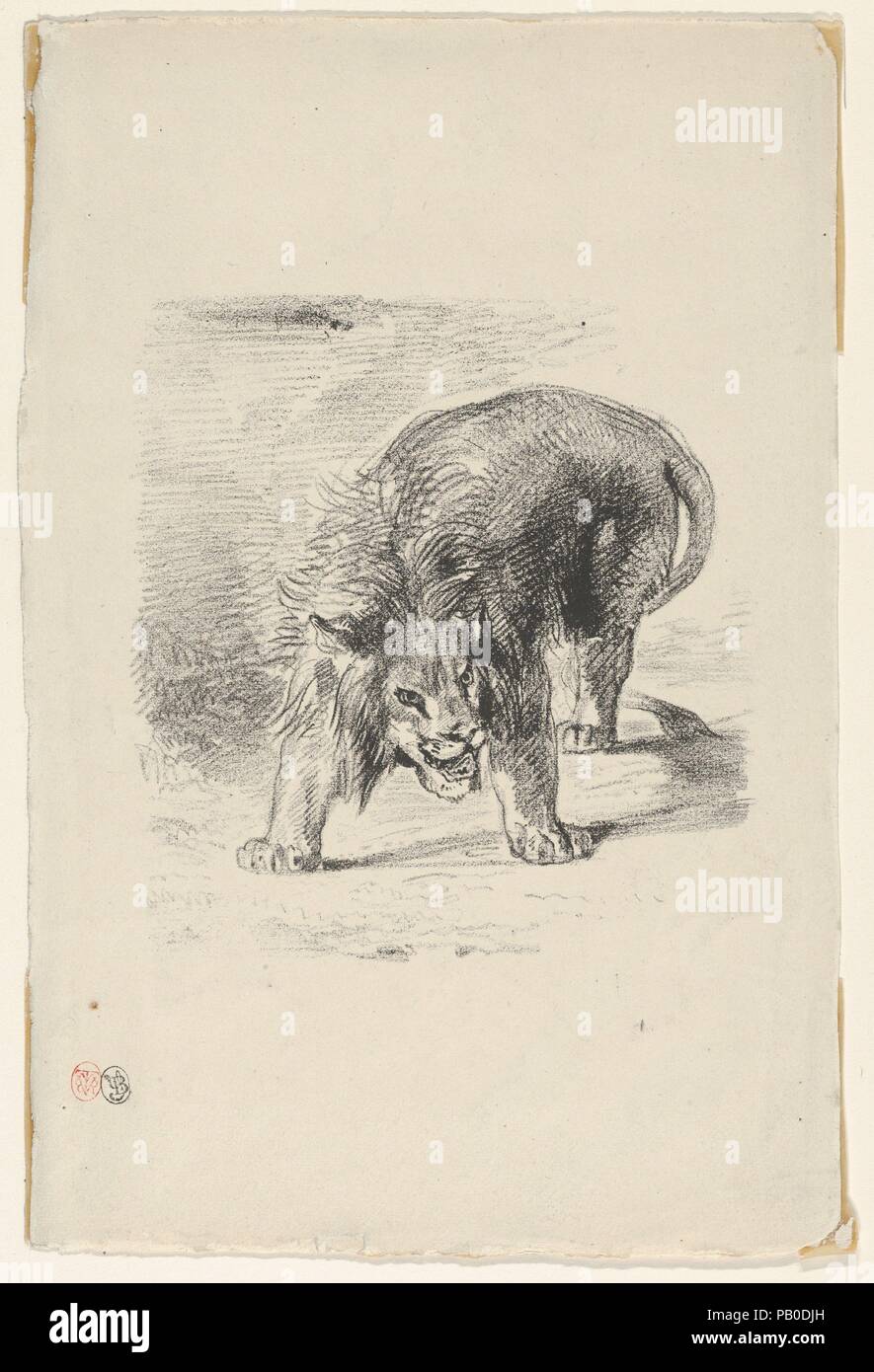 Lion debout. Artiste : Eugène Delacroix (Français, Charenton-Saint-Maurice 1798-1863 Paris). Image : 5 Dimensions : 11/16 x 5 5/16 in. (14,5 x 13,5 cm) feuille : 10 5/8 x 7 in. (27 x 17,8 cm). Date : 1833. Musée : Metropolitan Museum of Art, New York, USA. Banque D'Images