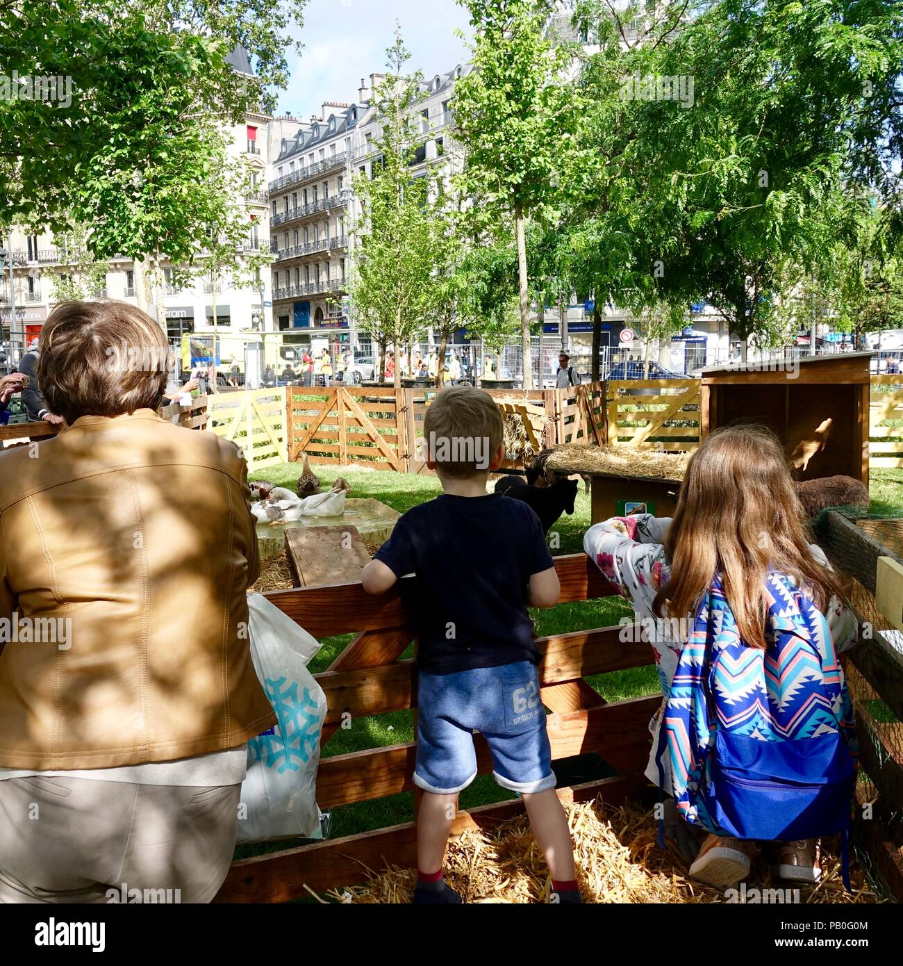 Les enfants, garçon et fille, à la recherche sur les animaux dans un  enclos, à la place de la République au cours de la farm show, Paris, France  Photo Stock - Alamy