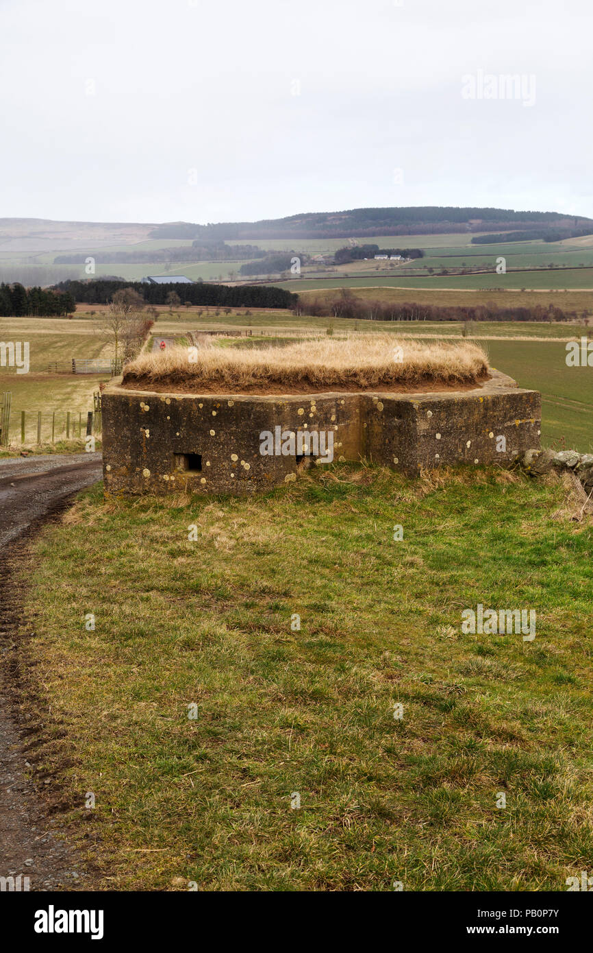 Pilulier datant de la Seconde Guerre mondiale dans la campagne du Northumberland, Angleterre. La position défensive en béton est dans le Cheviot Hills. Banque D'Images Pilulier datant de la Seconde Guerre mondiale dans la campagne du Northumberland, Angleterre. La position défensive en béton est dans le Cheviot Hills. Banque D'Images