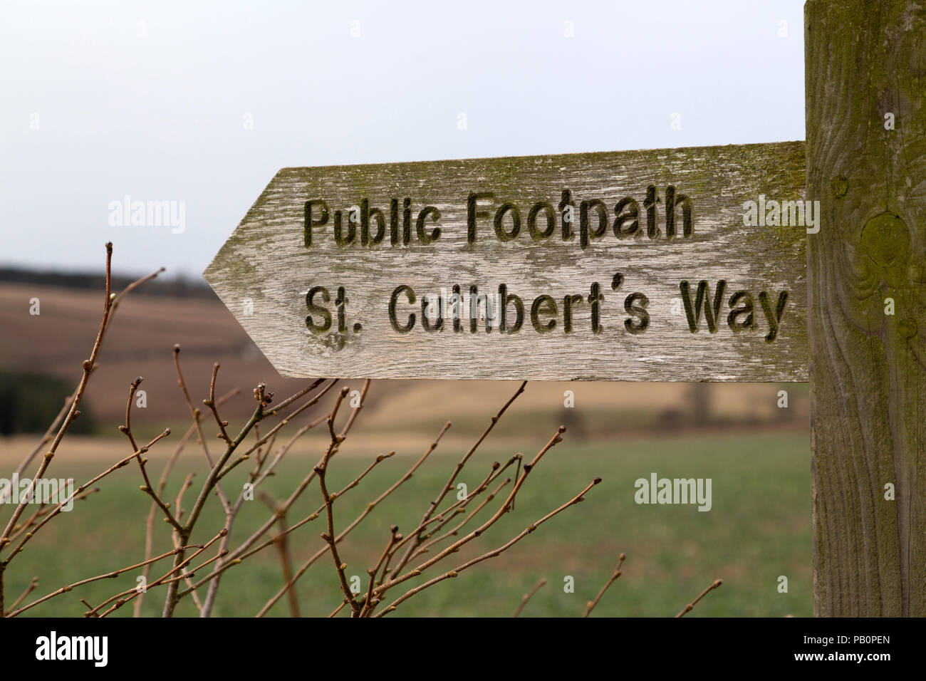 Enseigne sur St Cuthbert's Way, un sentier dans la campagne du Northumberland, Angleterre. Le sentier recoupe les Cheviot Hills. Banque D'Images