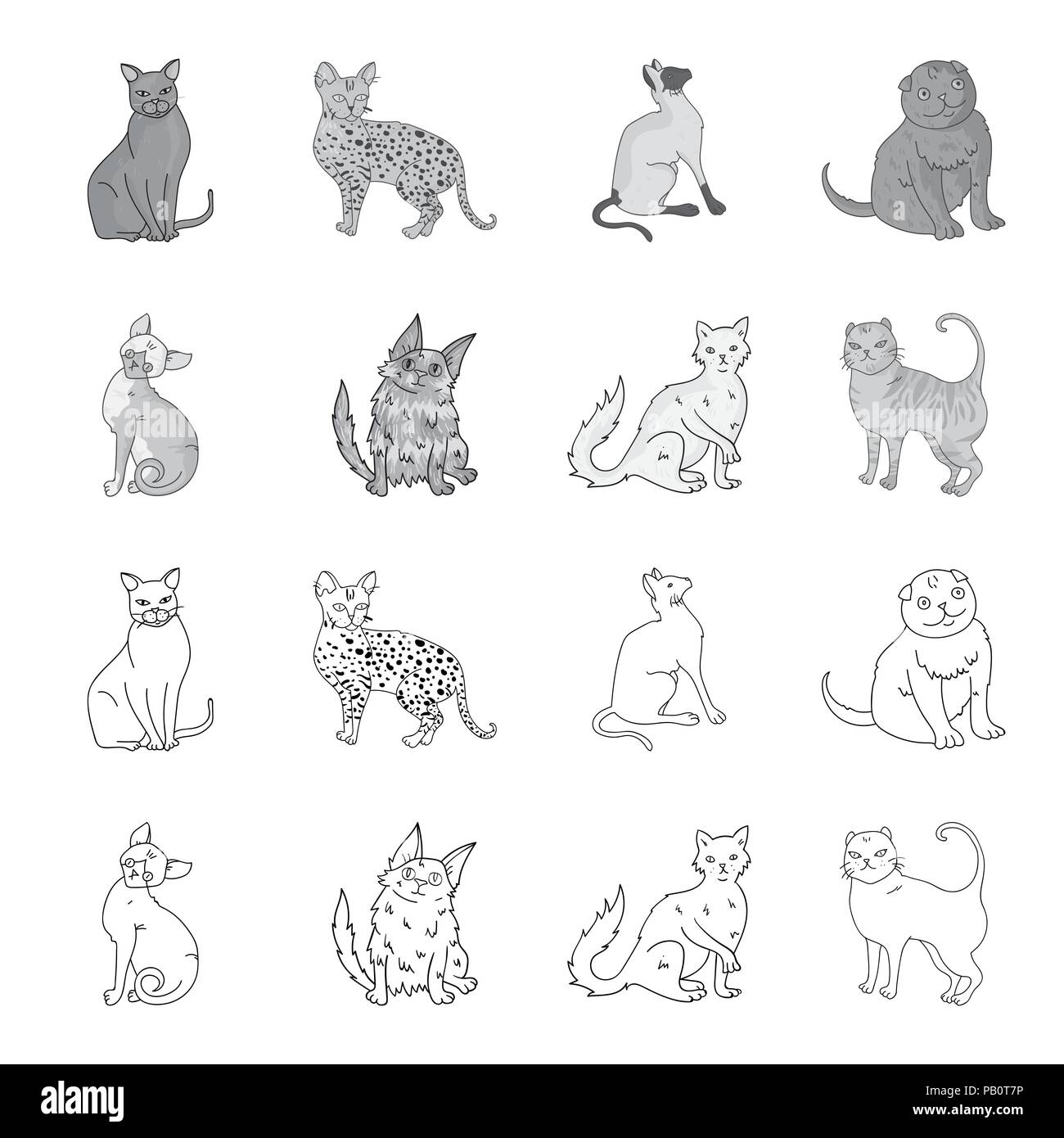 Angora turc, British longhair et d'autres espèces. Les races de chats set collection icônes de style monochrome,contour symbole vecteur illustration de stock . Illustration de Vecteur