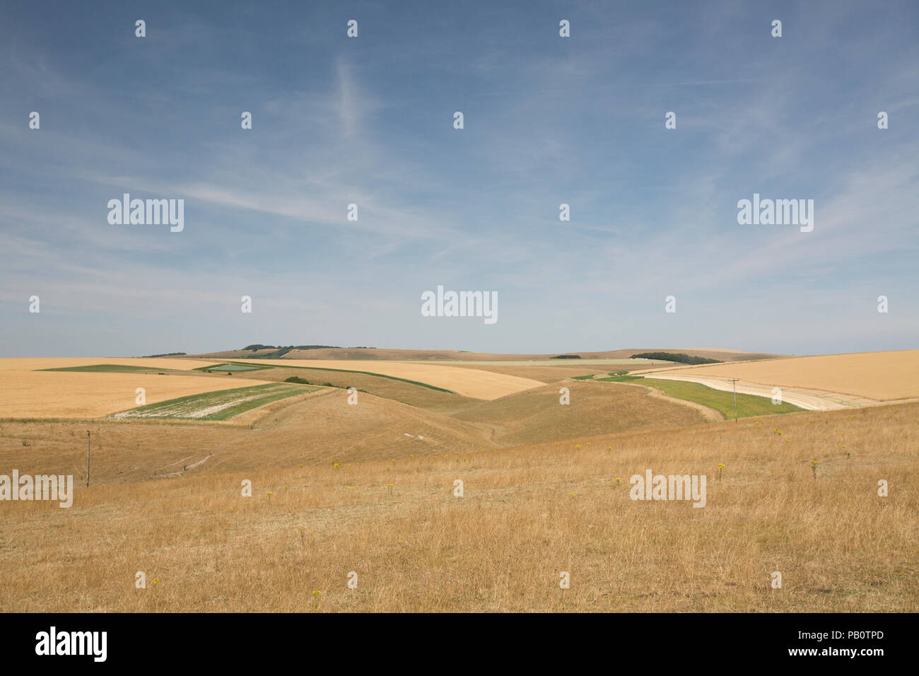 Une vue sur le paysage du Wiltshire au-dessus de la petite ville de simple pendant la canicule 2018 Royaume-Uni montrant herbe séchée et les récoltes des agriculteurs dans les champs. Wiltshire Banque D'Images