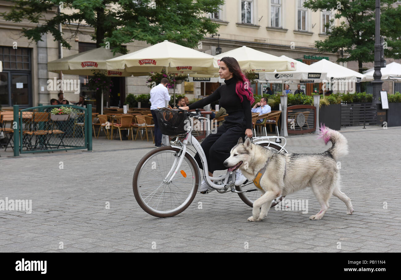 Femme femme location et balade chien à Cracovie Pologne Banque D'Images