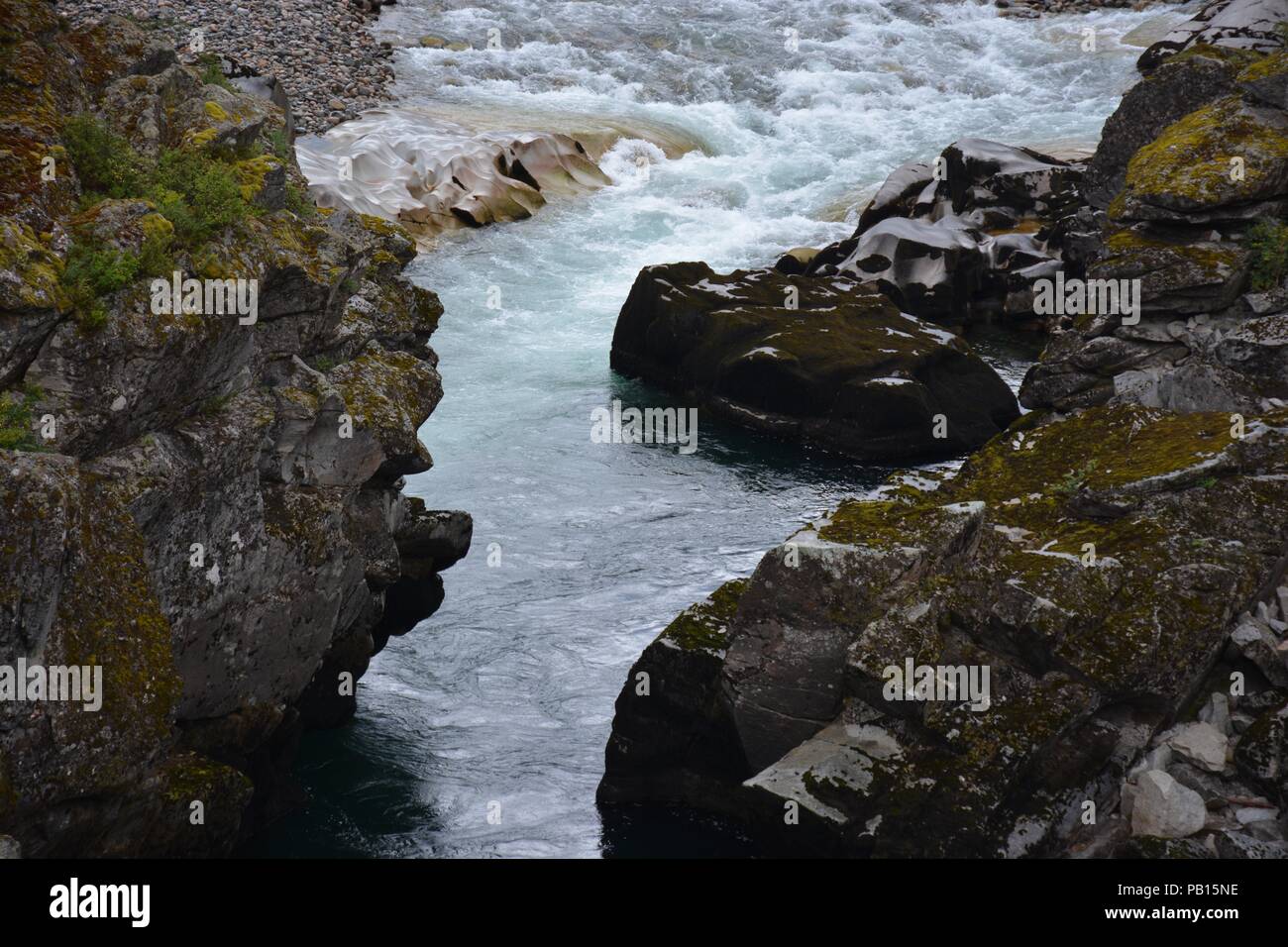 Rio Cisnes, Carretera Austral, Patagonie, Chili Banque D'Images