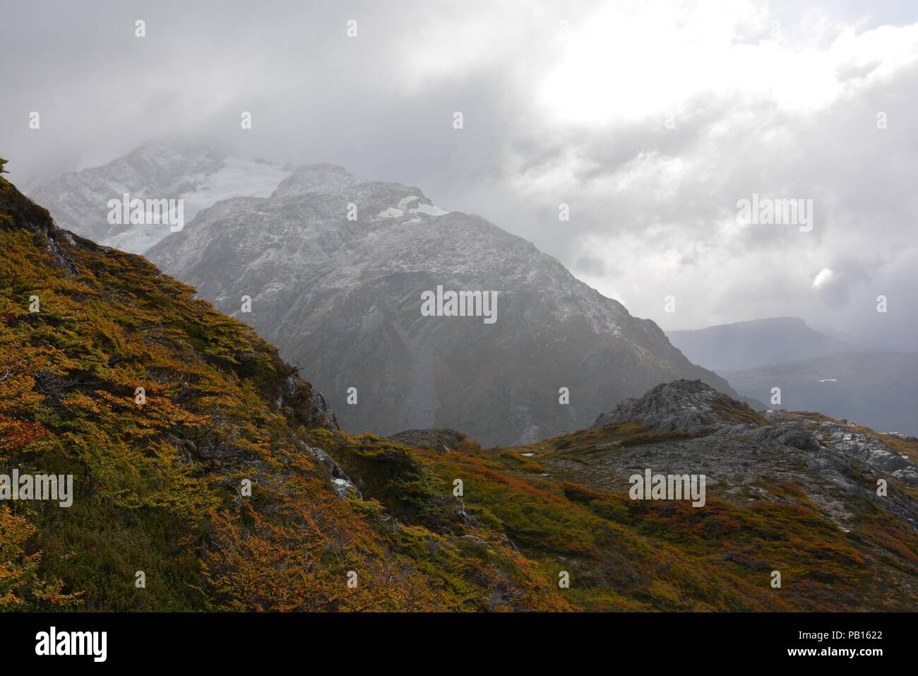 Glaciar El Tigre, Villa Ohiggins, Patagonie, Chili Banque D'Images