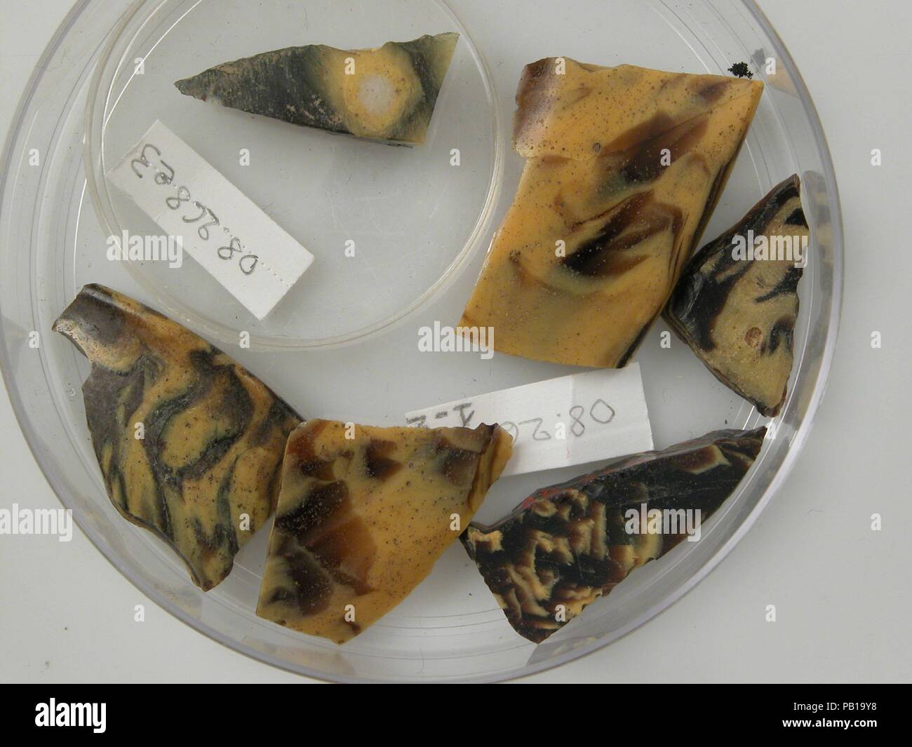 Des fragments de verre. Culture : le copte. Dimensions : Stockage (petri diam.) : 3 7/16 in. (8,8 cm). Date : 4ème au début du 5e siècle. Musée : Metropolitan Museum of Art, New York, USA. Banque D'Images