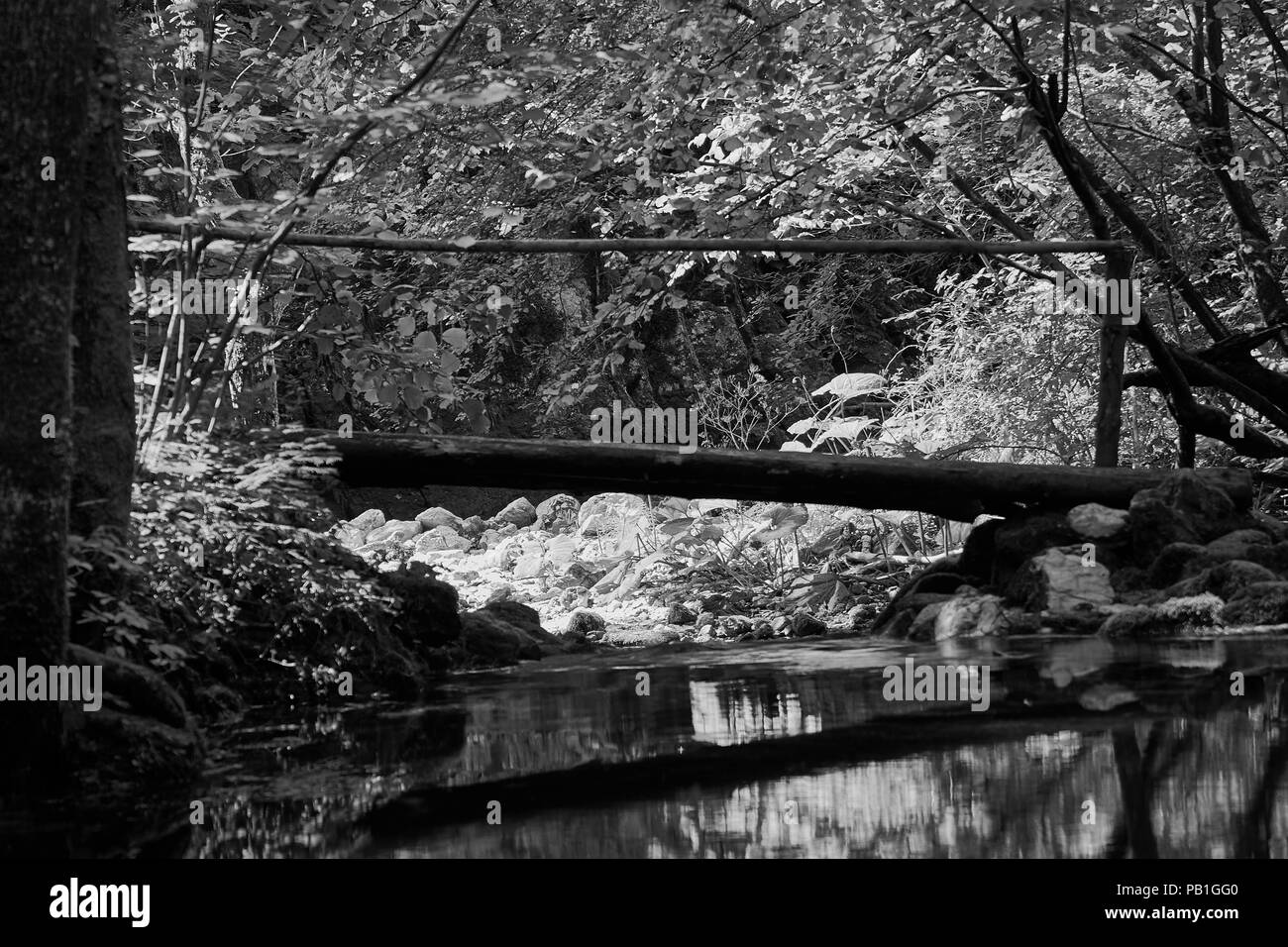 Pont de bois dans la forêt Banque D'Images