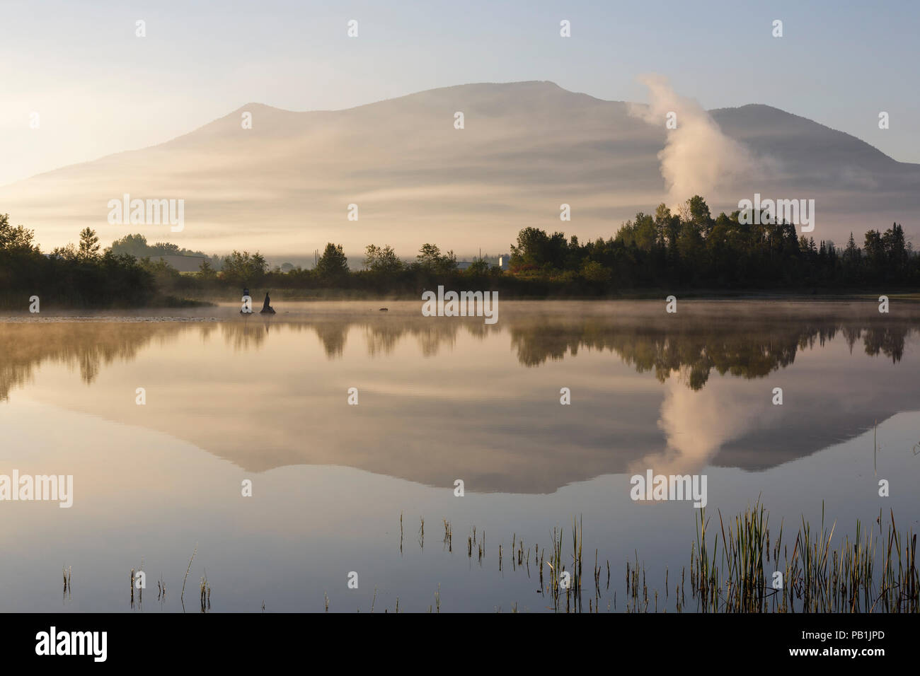 Reflet de la montagne dans le Marais de cerise de l'Aéroport, Près de l'aéroport régional de Mt Washington, à Whitefield, New Hampshire USA a foggy matin d'été. Banque D'Images