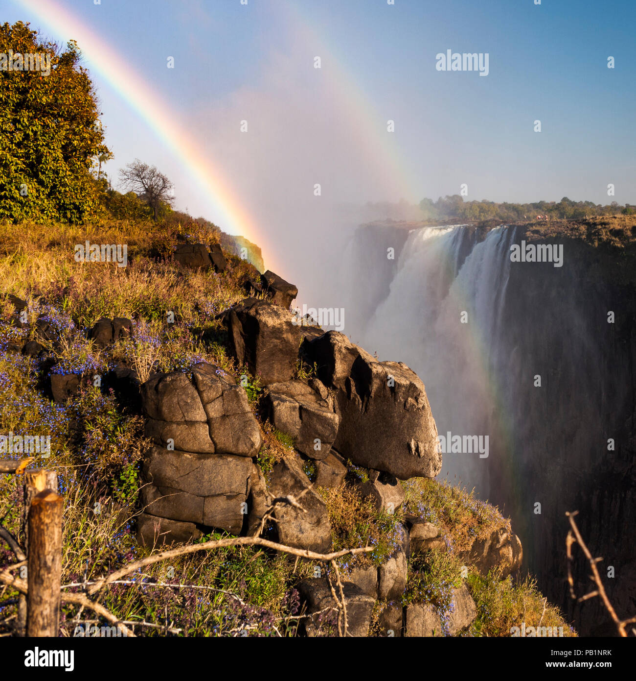 Les Chutes Victoria au Zimbabwe, l'Afrique Banque D'Images
