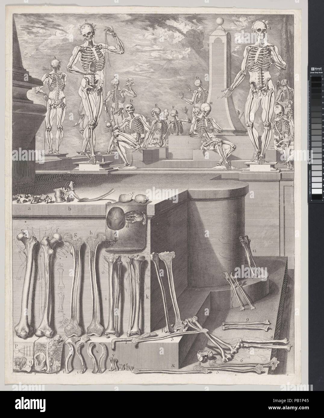 Pour la plaque 'Atlas Anatomico' (non publiée). Artiste : Crisóstomo Alejandrino José Martínez y Sorli (Espagnol, Valence 1628-1694). Dimensions : Plateau : 26 × 7/16 20 3/4 in. (67,1 × 52,7 cm) feuille : 27 x 21 7/16 9/16 in. (69,7 x 54,7 cm). Plaque Date : ca. 1680-1694 ; imprimé du 18e siècle. Vue d'architecture d'un carré avec piédestals et obélisques. La composition est divisée en deux parties, avec sur la moitié supérieure 14 figures humaines dans diverses poses, décrit dans les grandes lignes en mettant l'accent sur leur squelette. Douze chiffres ont été numérotés de A à M en majuscules. Au premier plan, depic Banque D'Images