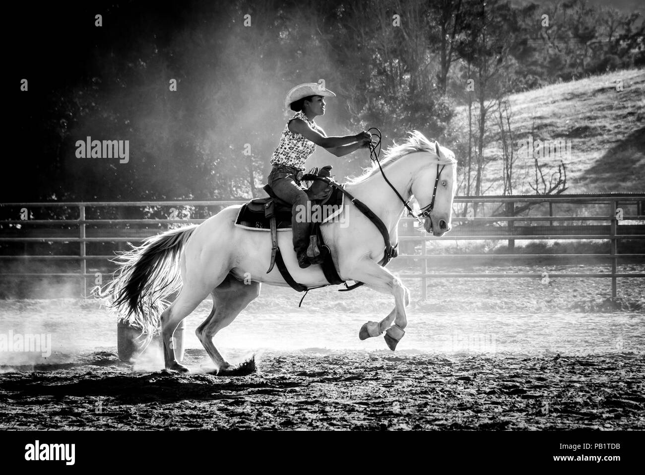 Une vraie cowgirl Californie ou la couleur monte un cheval blanc, course de barils en action en noir et blanc, sabots dans l'air, la course vers la finale. Banque D'Images