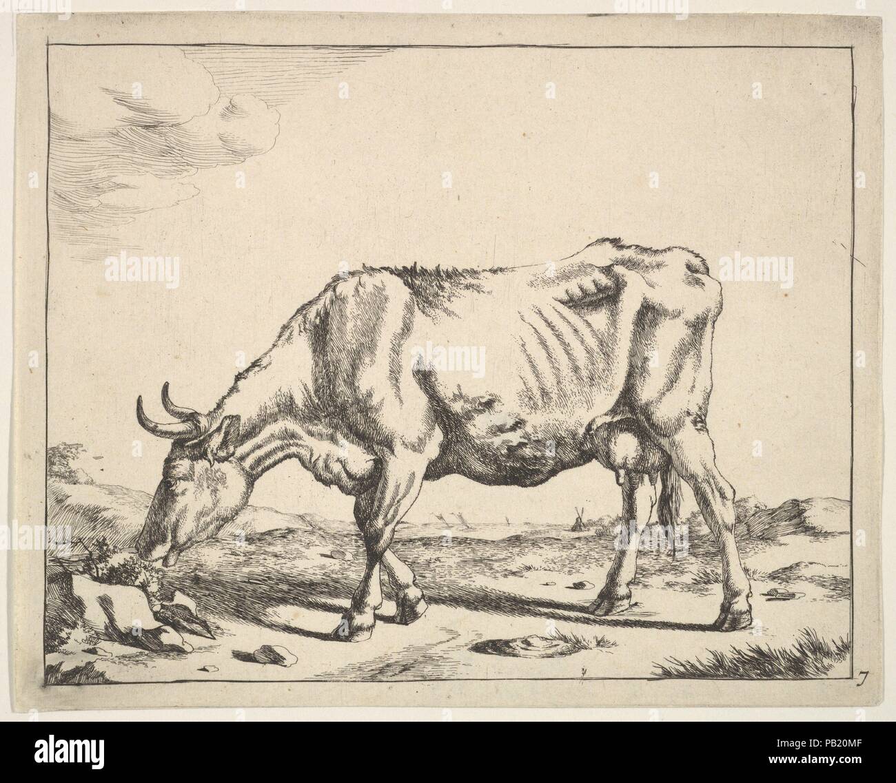 Vache, après Paulus Potter. Artiste : Marcus de Bye (néerlandais, La Haye, 1639-après 1688) ; Après Paulus Potter (Néerlandais, Enkhuizen 1625-1654 Amsterdam). Fiche technique : Dimensions : 5 1/2 x 7 1/16 in. (14 x 17,9 cm). Musée : Metropolitan Museum of Art, New York, USA. Banque D'Images
