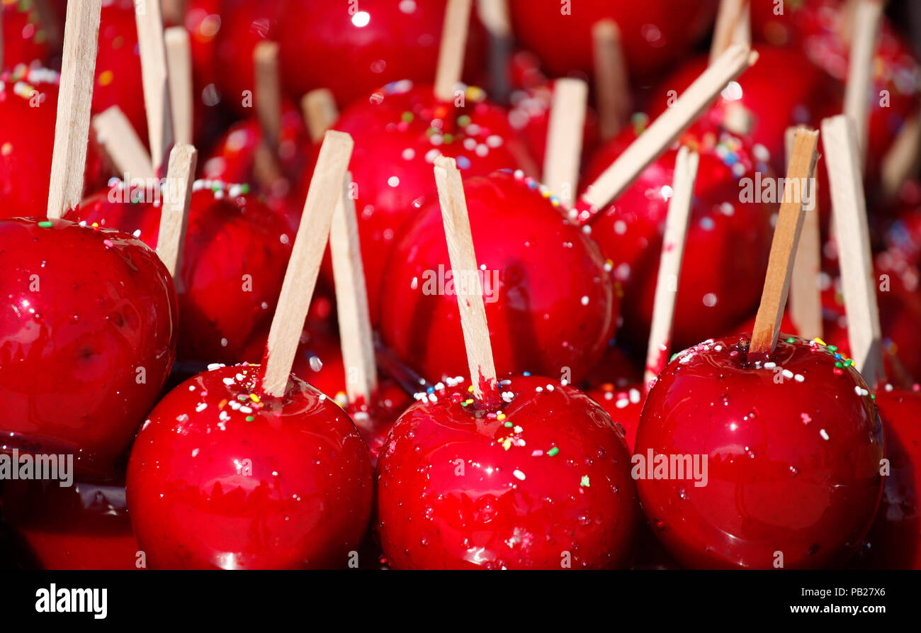 Glacé caramel sucré rouge Candy Apples sur des bâtons pour la vente sur le marché fermier ou country fair Banque D'Images